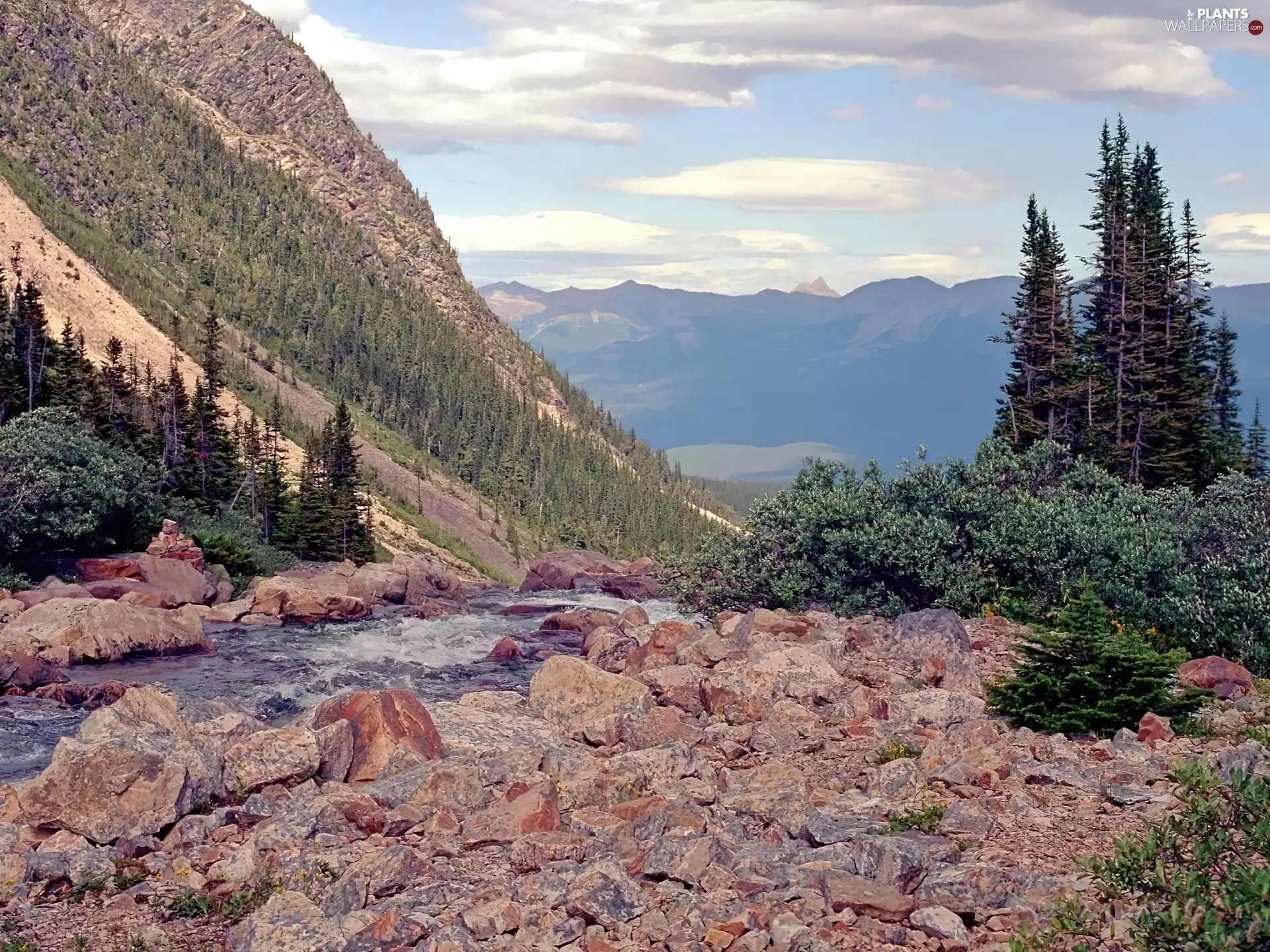 Stones, River, Cloud, trees, Mountains