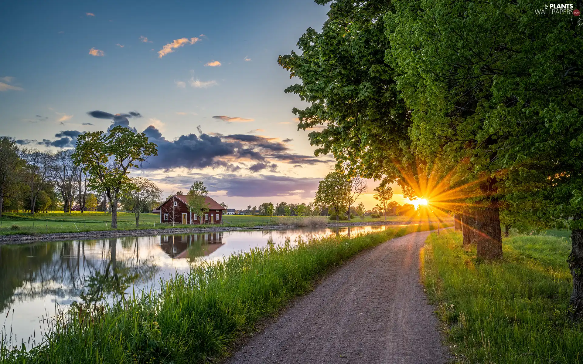 grass, Way, rays of the Sun, River, clouds, viewes, trees, house