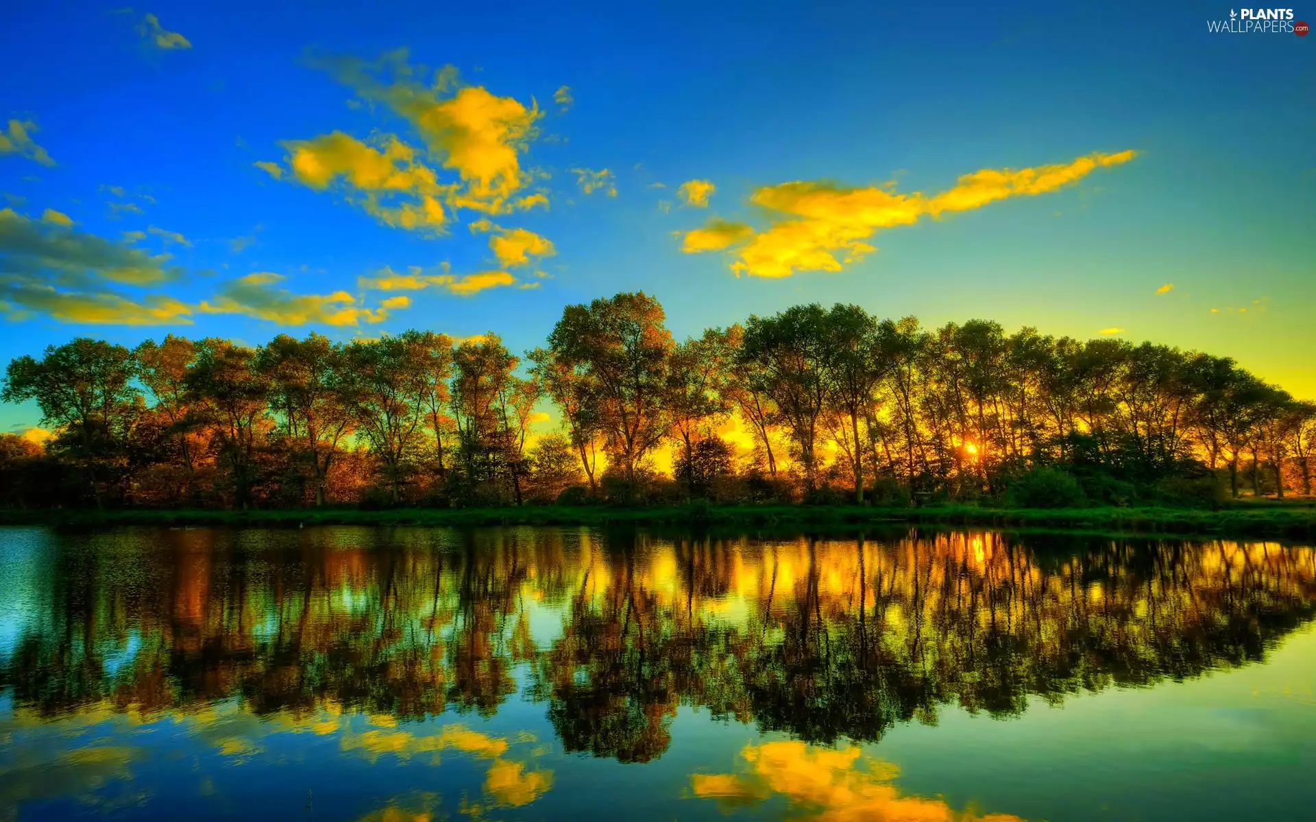 trees, sun, clouds, River, west, viewes, reflection