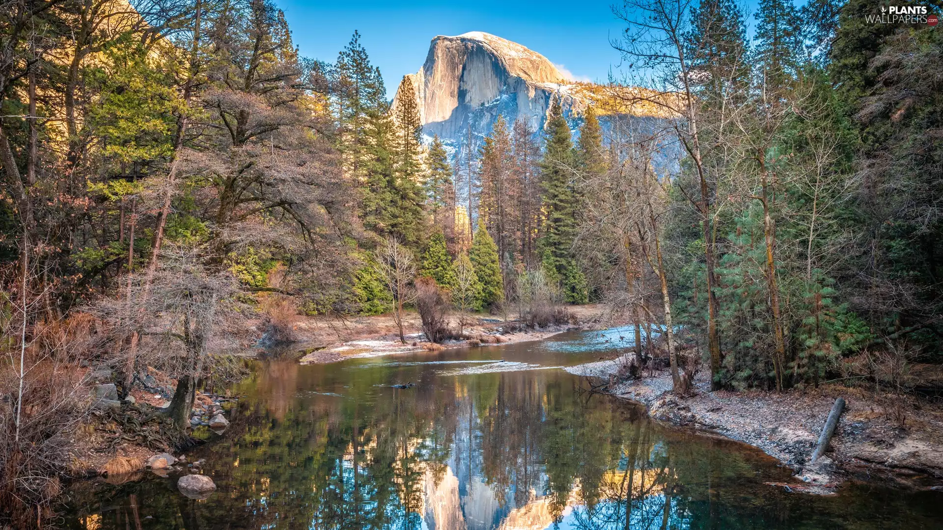 Yosemite National Park, Sierra Nevada Mountains, viewes, El Capitan Peak, trees, California, The United States, Merced River