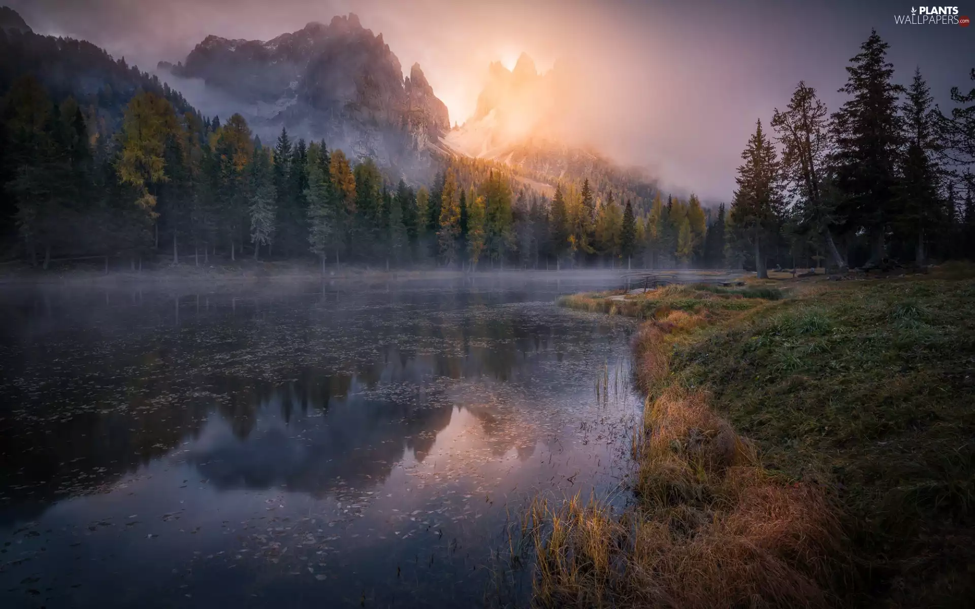 Mountains, trees, Fog, viewes, grass, autumn, Sunrise, River