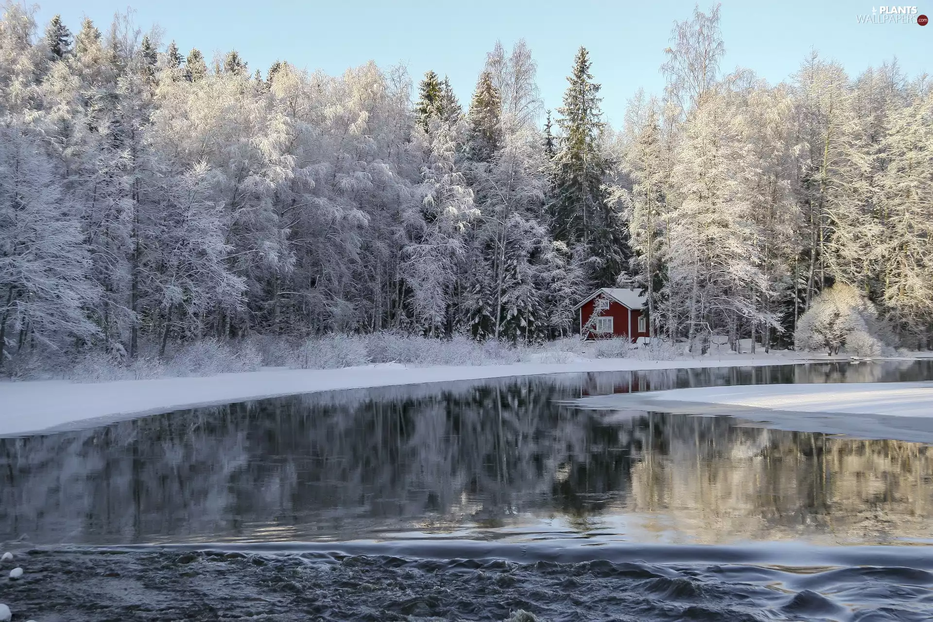 trees, winter, house, River, viewes, forest