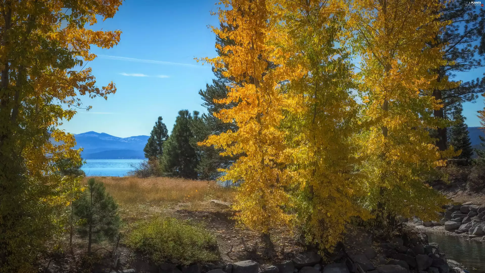 trees, autumn, Mountains, River, viewes, forest