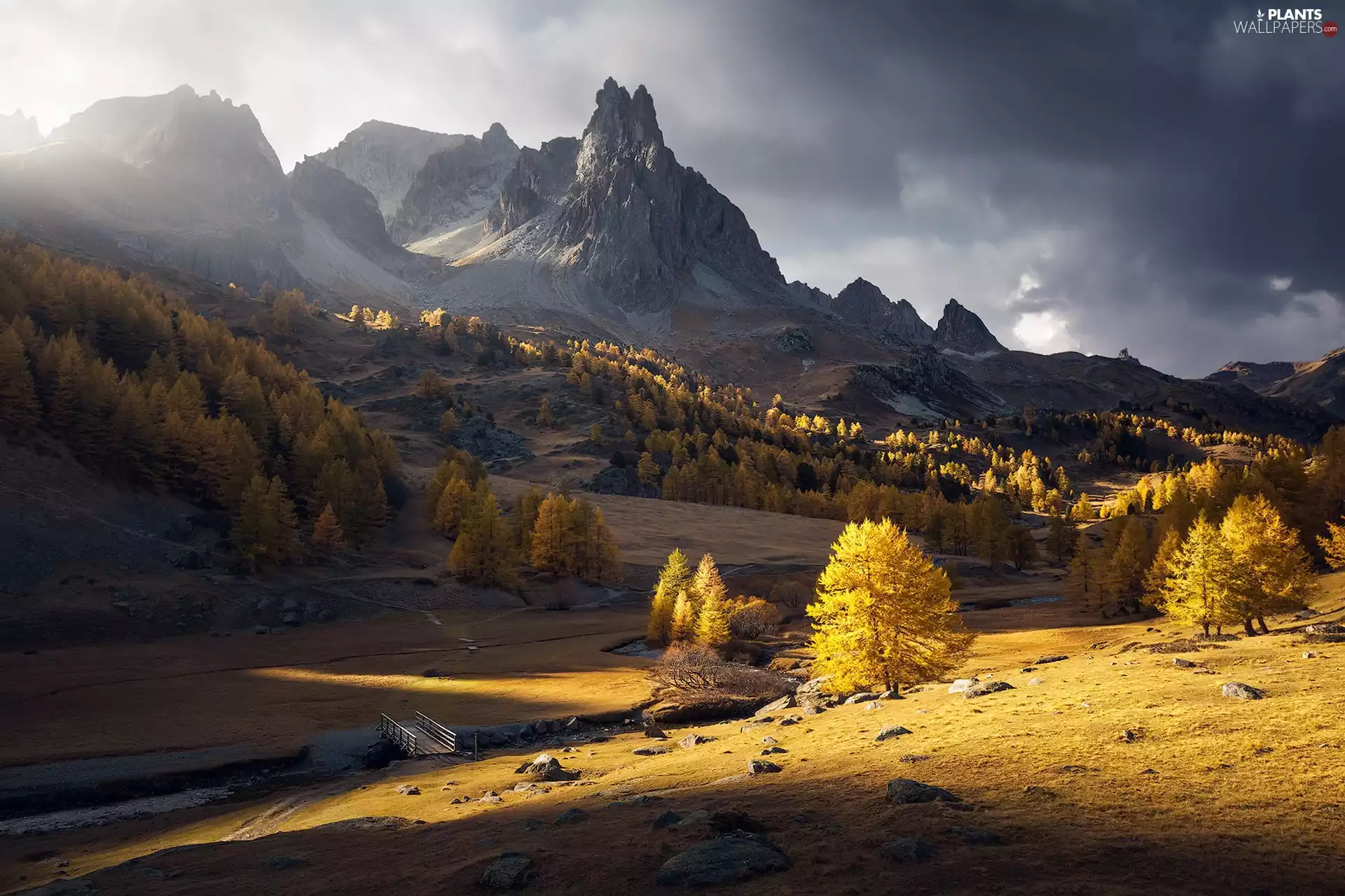 The Hills, France, Alps Mountains, trees, sun, Fog, Clarée River, bridges, viewes