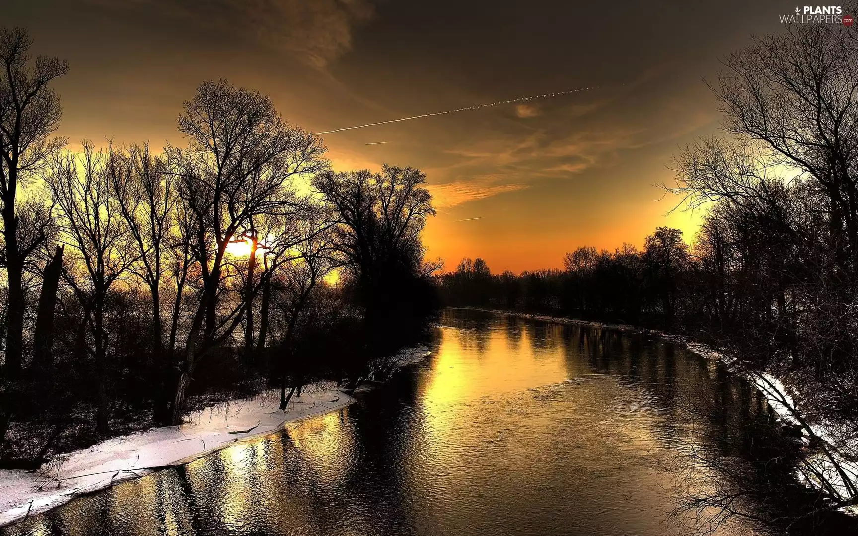 trees, River, Great Sunsets, viewes