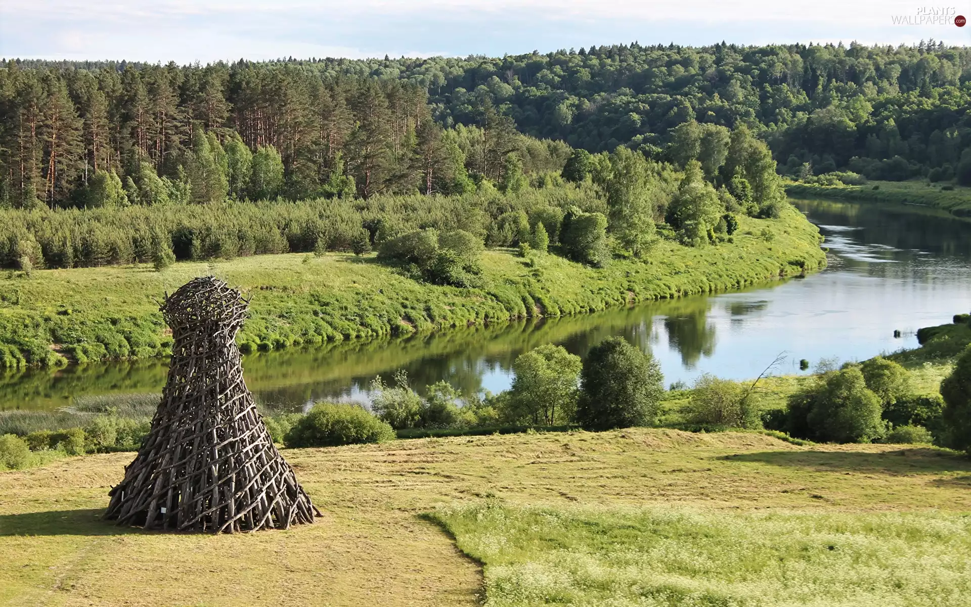 Meadow, trees, viewes, River