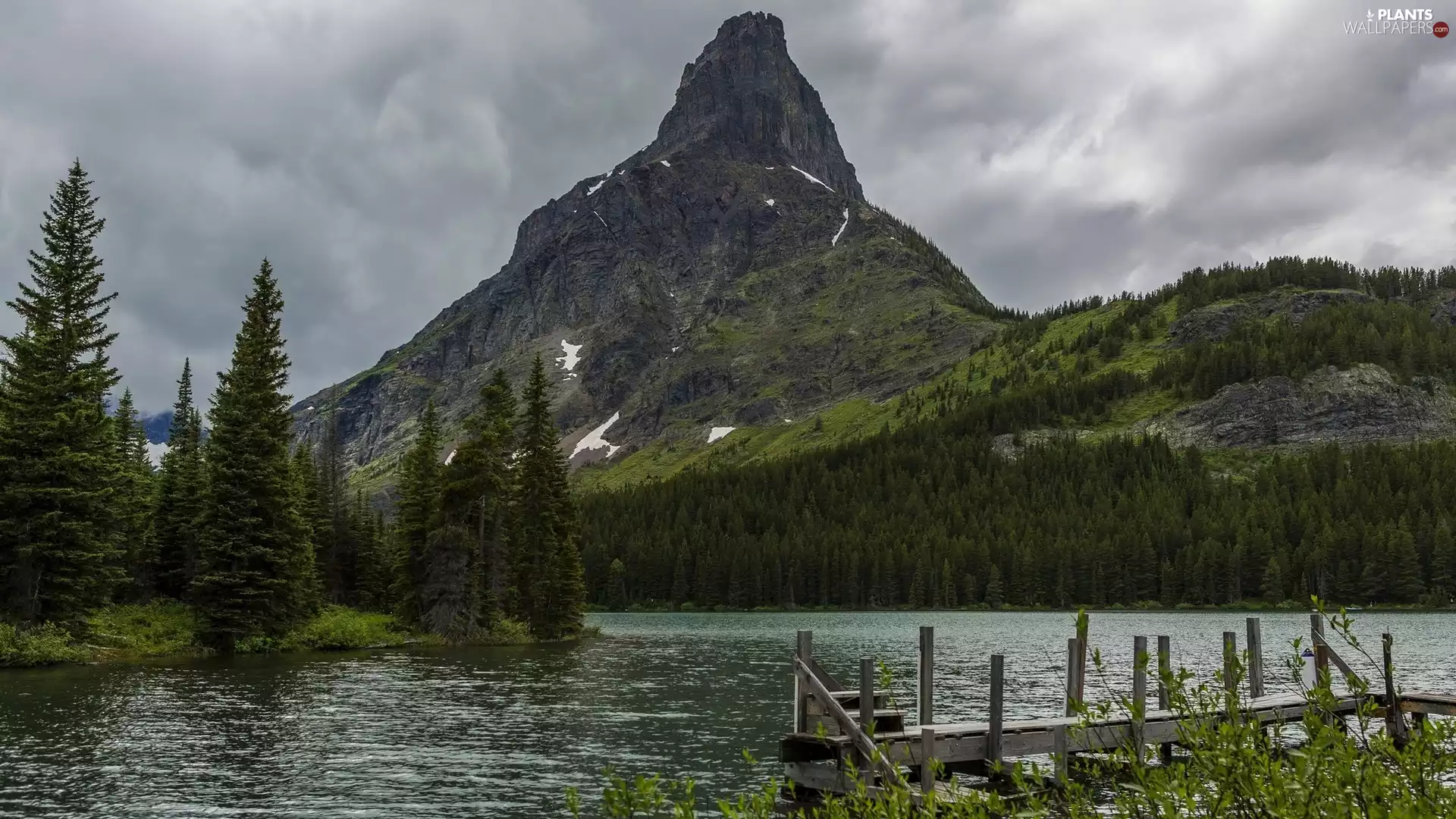 mountains, Spruces, Platform, River