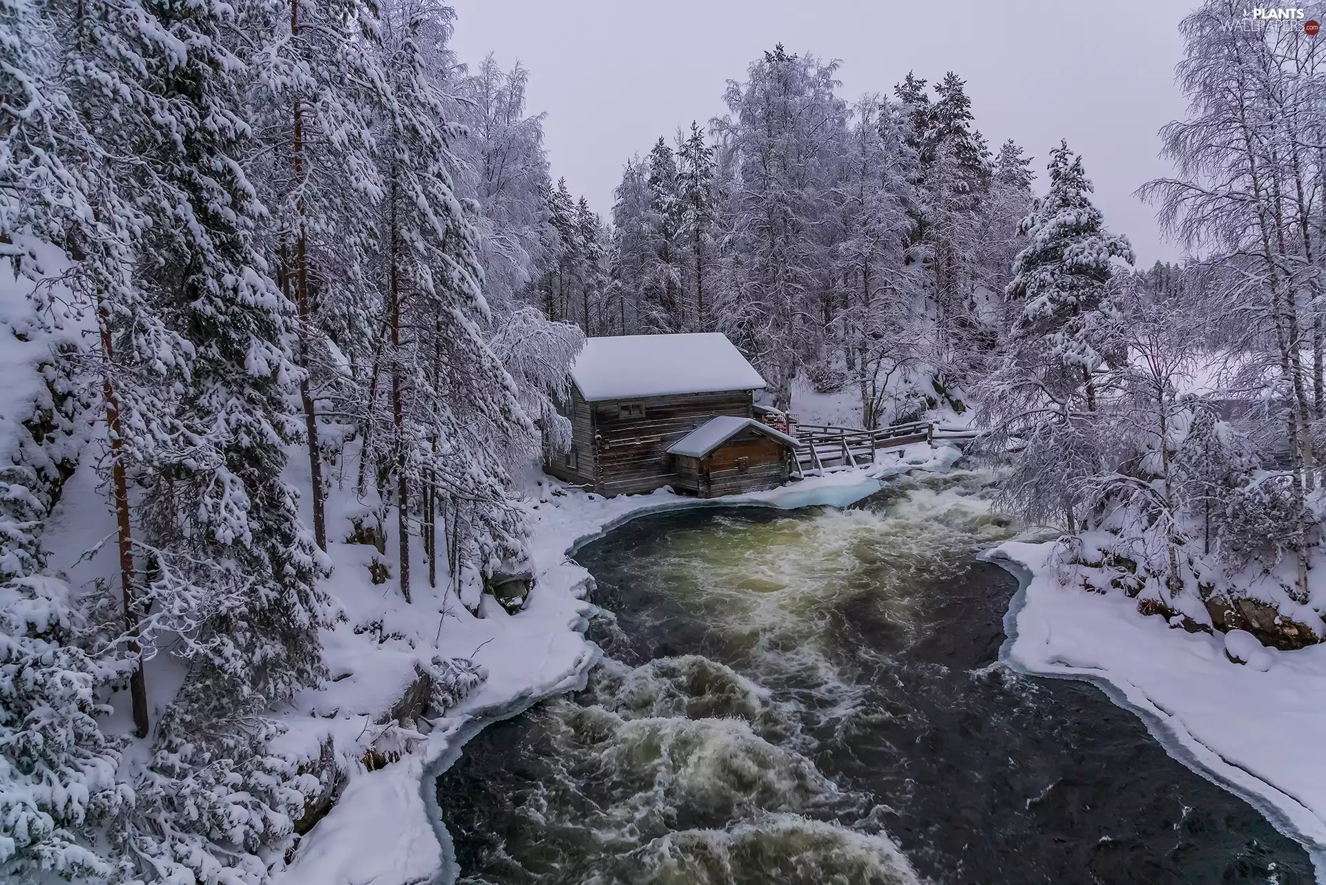 Myllykoski Mill, winter, River, trees, Lapland, Finland, Oulanka National Park, Kuusamo Municipality, viewes