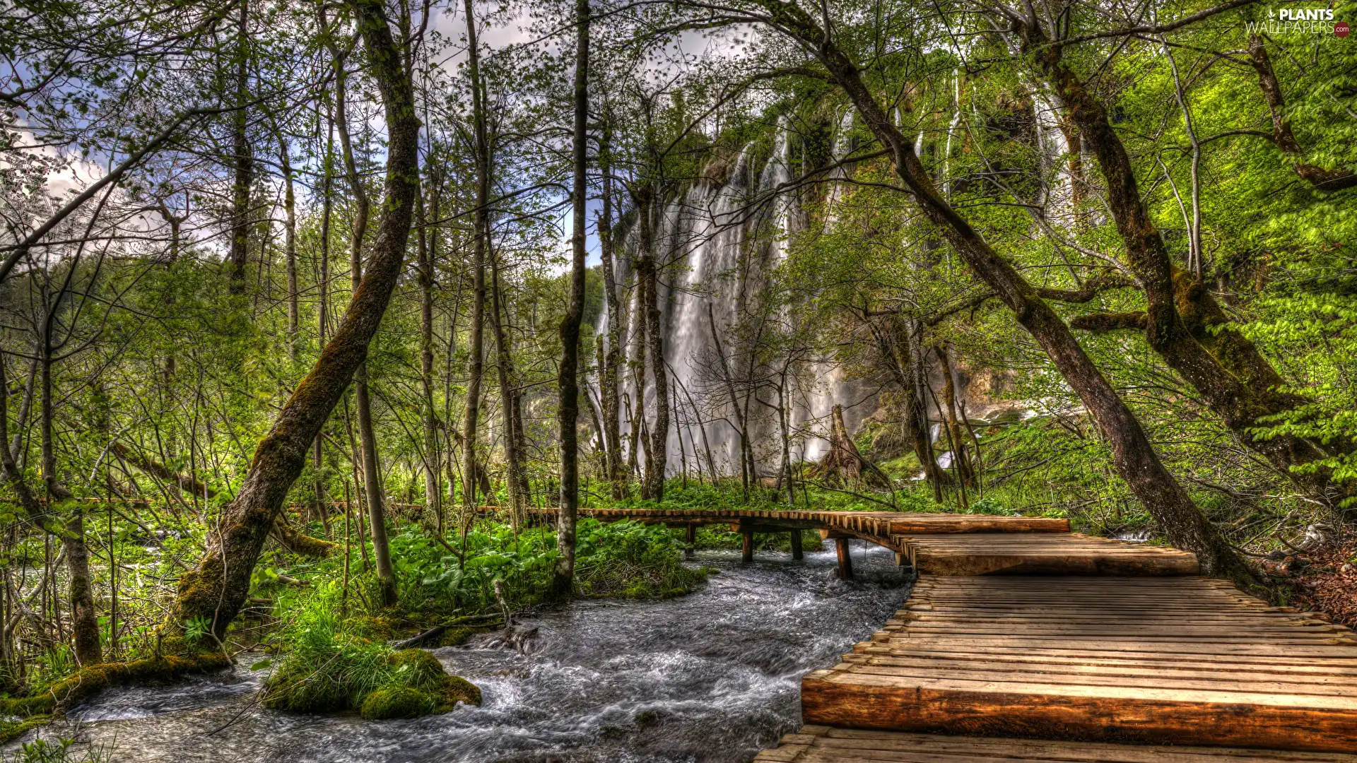 River, Plitvice Lakes National Park, trees, waterfall, Coartia, Platform, viewes