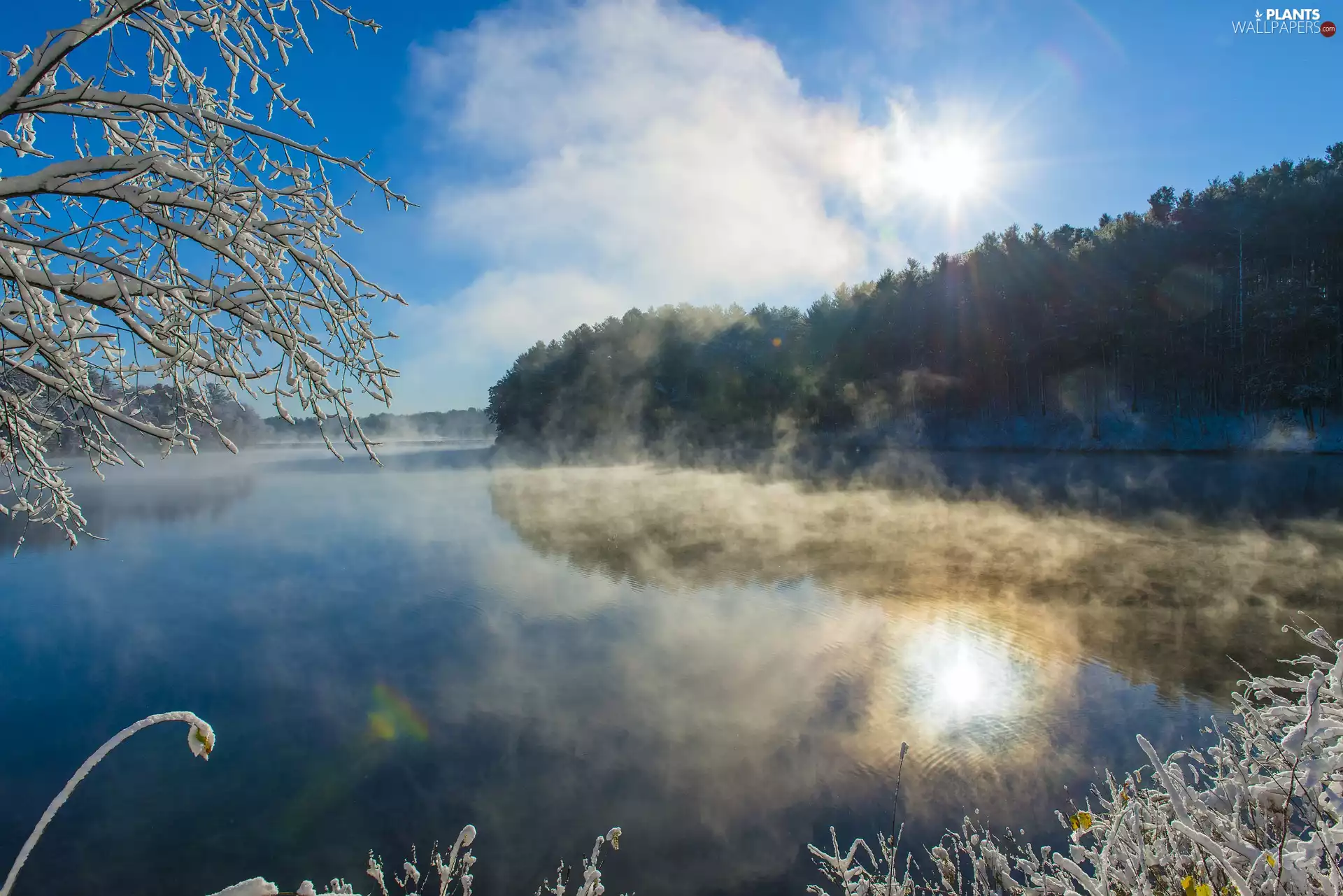 Fog, trees, rays of the Sun, viewes, branch pics, River, winter, Snowy
