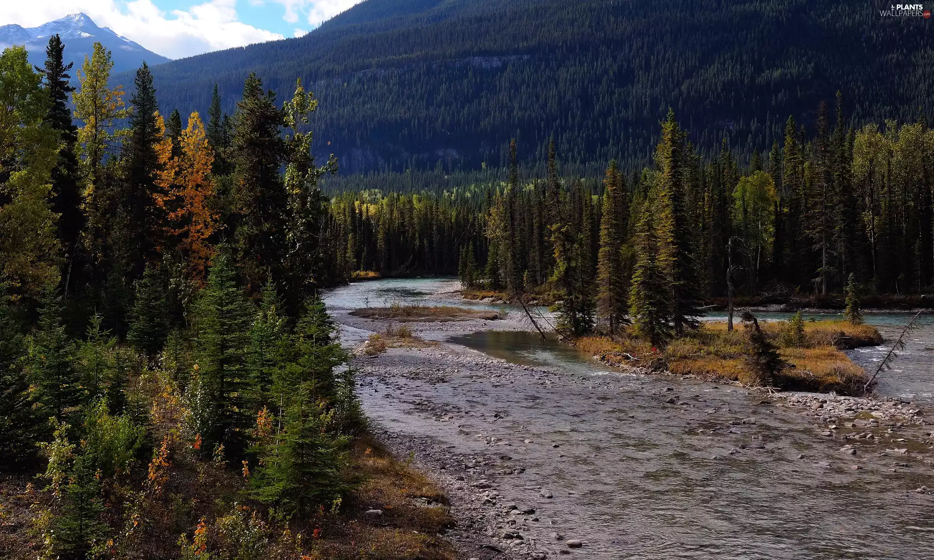 River, Canada, viewes, Mountains, trees, Mount Robson Provincial Park