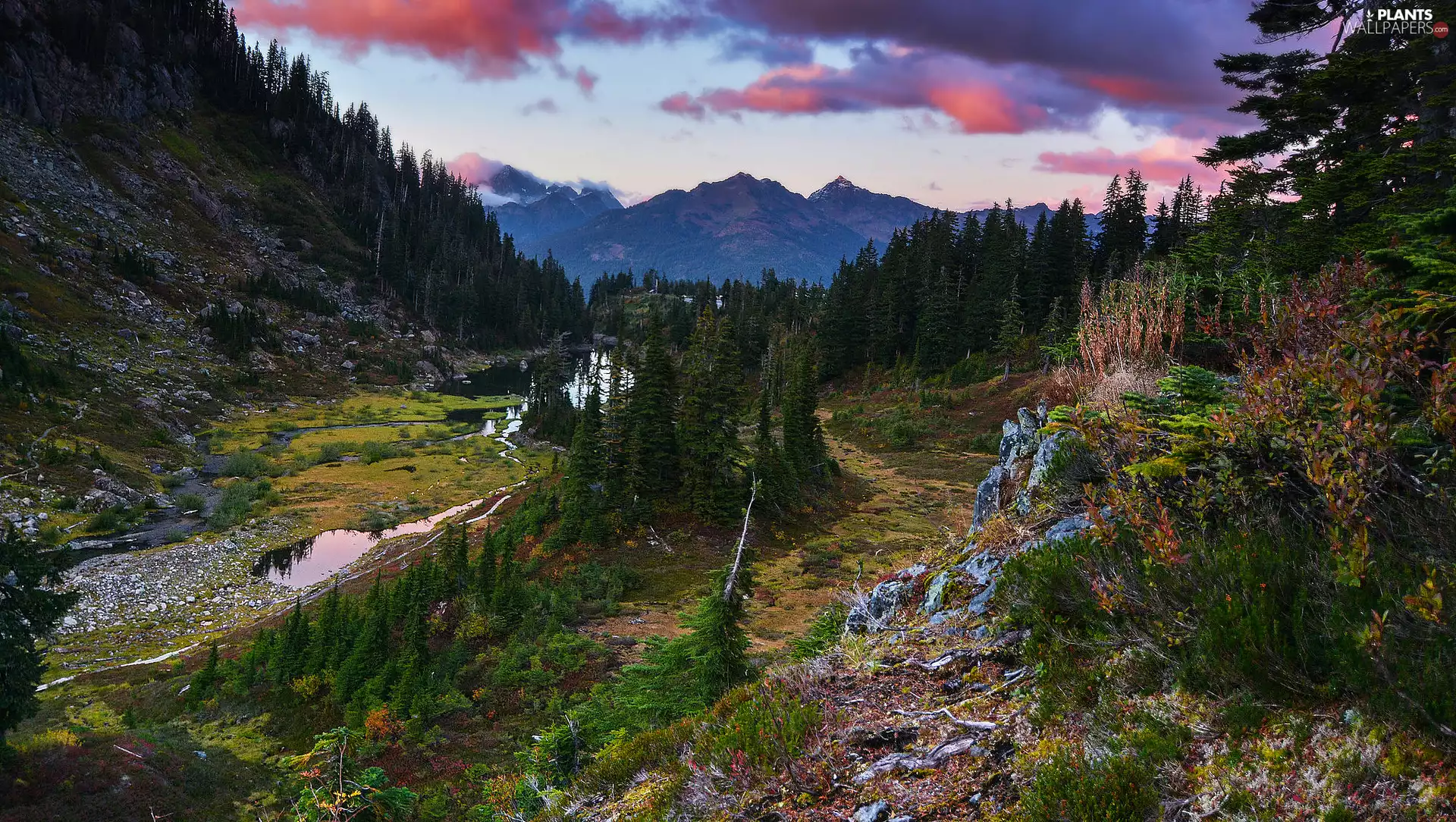 viewes, River, rocks, trees, Mountains