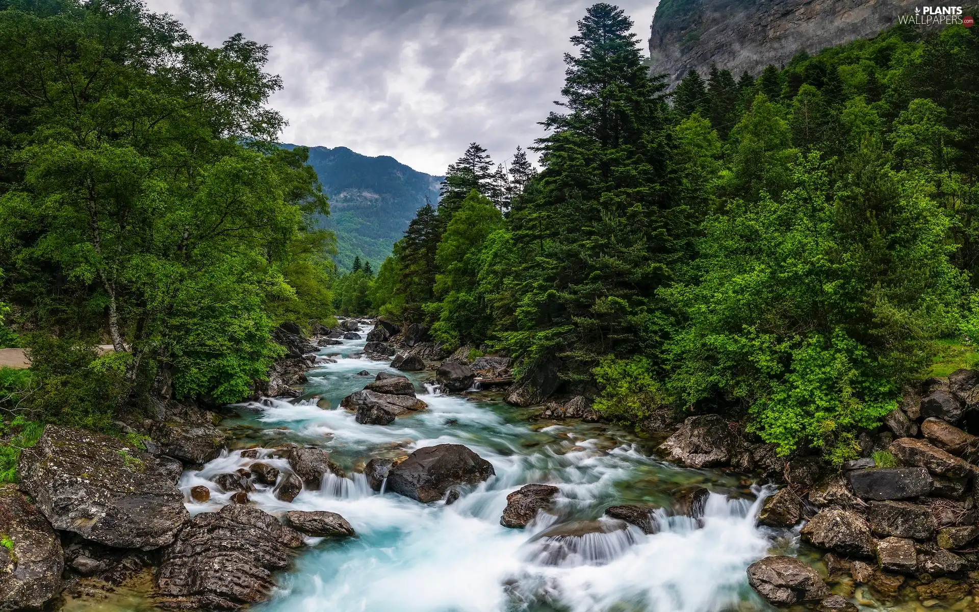 River, Mountains, woods, trees, Pyrenees, Spain, rocks, Stones, viewes