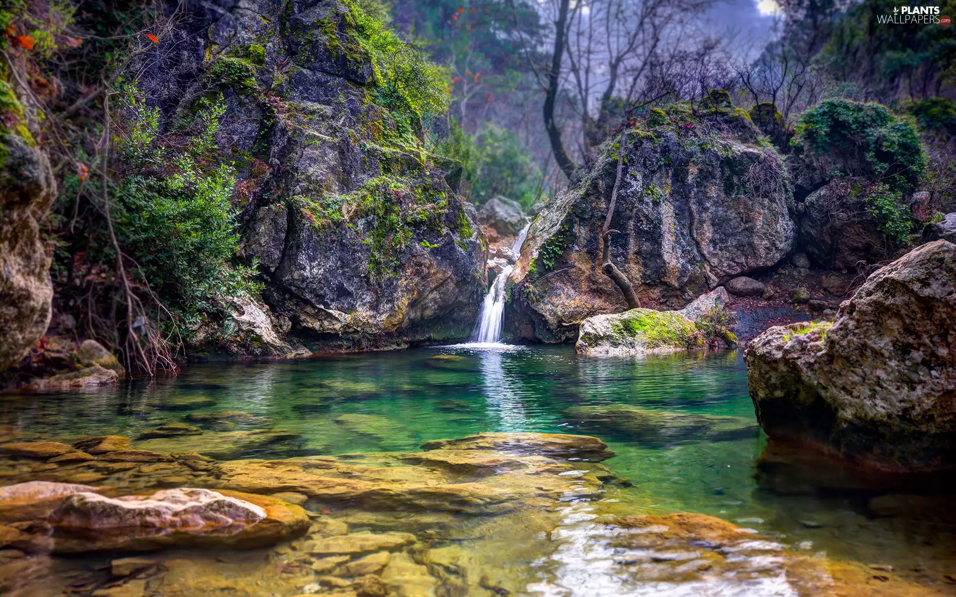 flux, viewes, rocks, River, trees, mossy, Stones