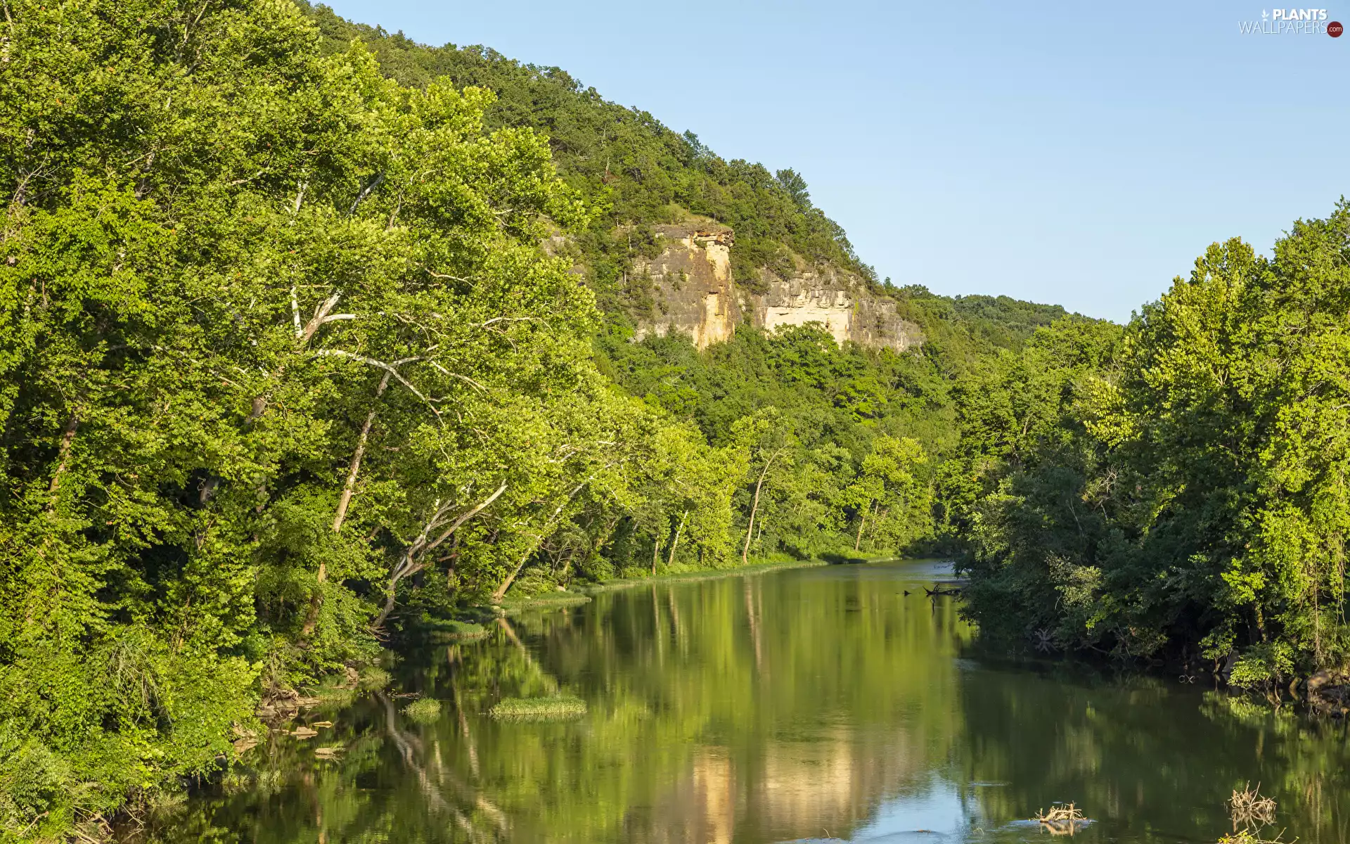 woods, Hill, viewes, River, trees, rocks