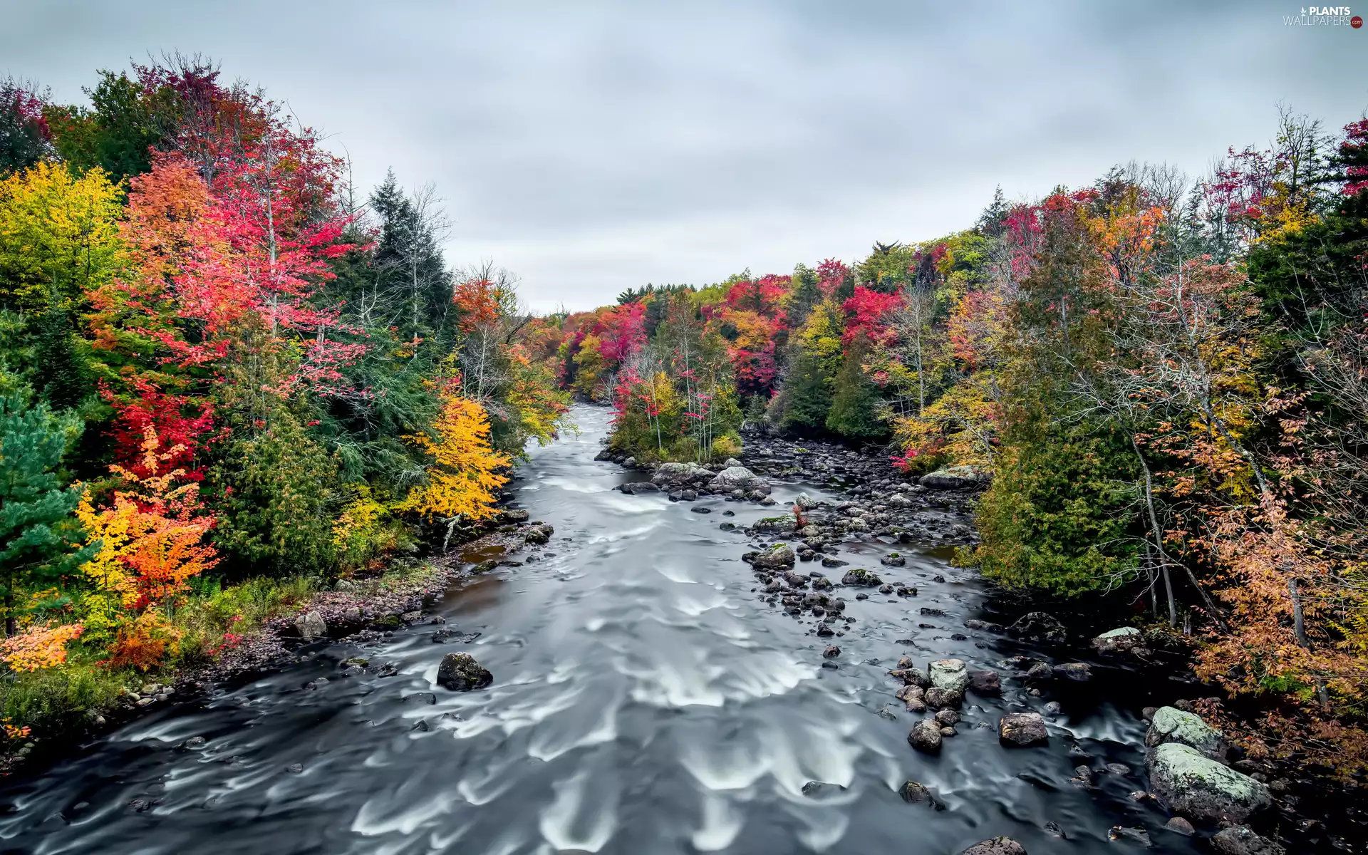 viewes, forest, Sky, colors, Stones, trees, autumn, River