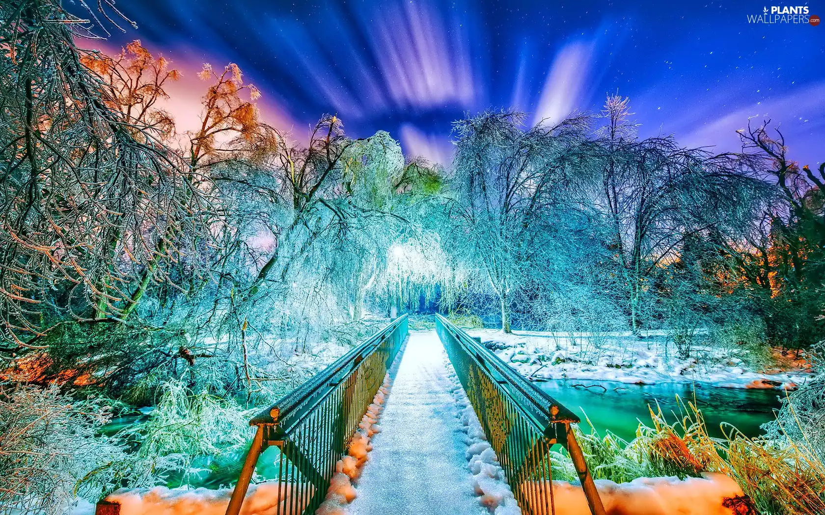 trees, bridge, snow, River, fantasy, viewes, dawn