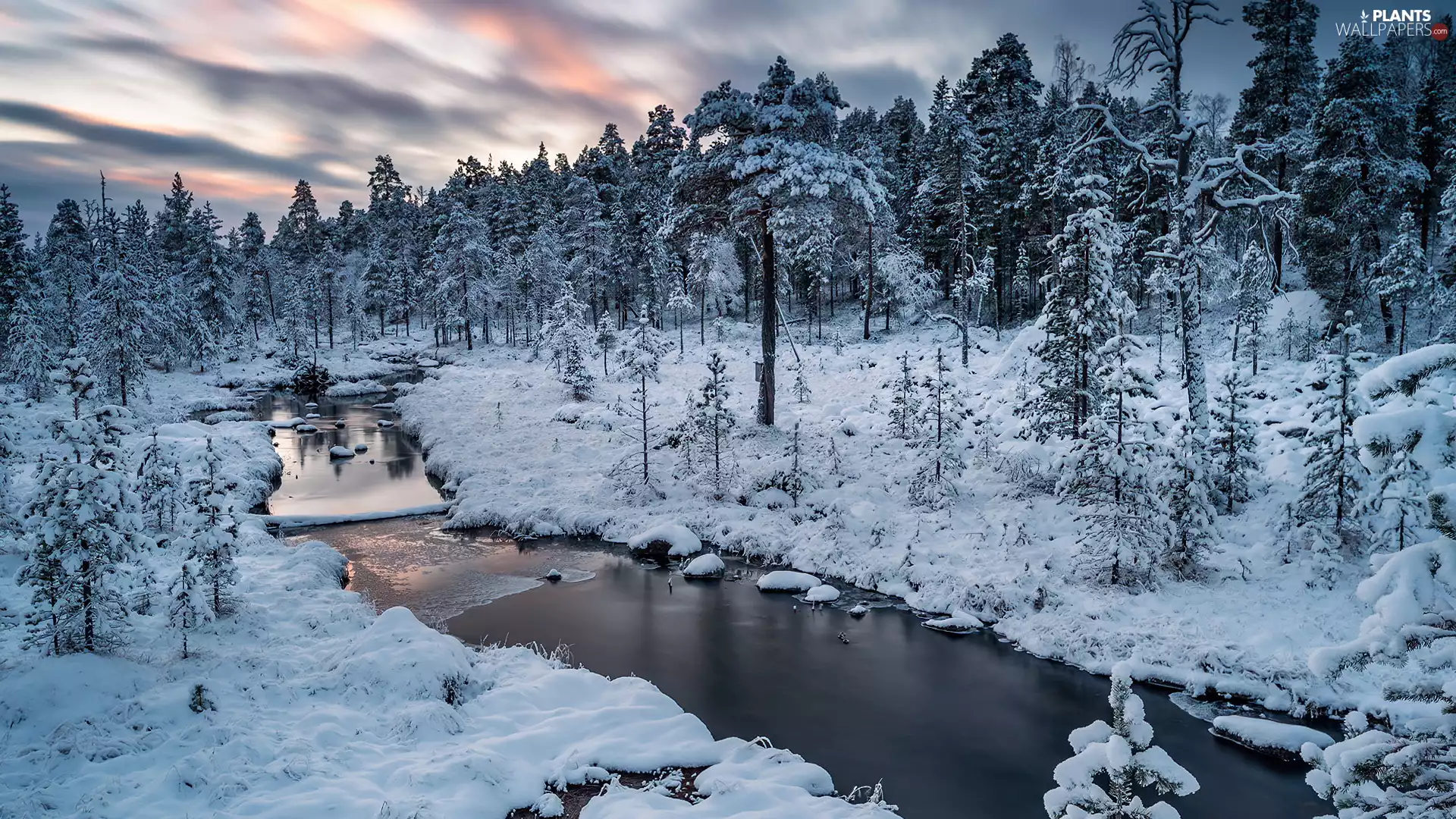 forest, winter, viewes, River, trees, snowy