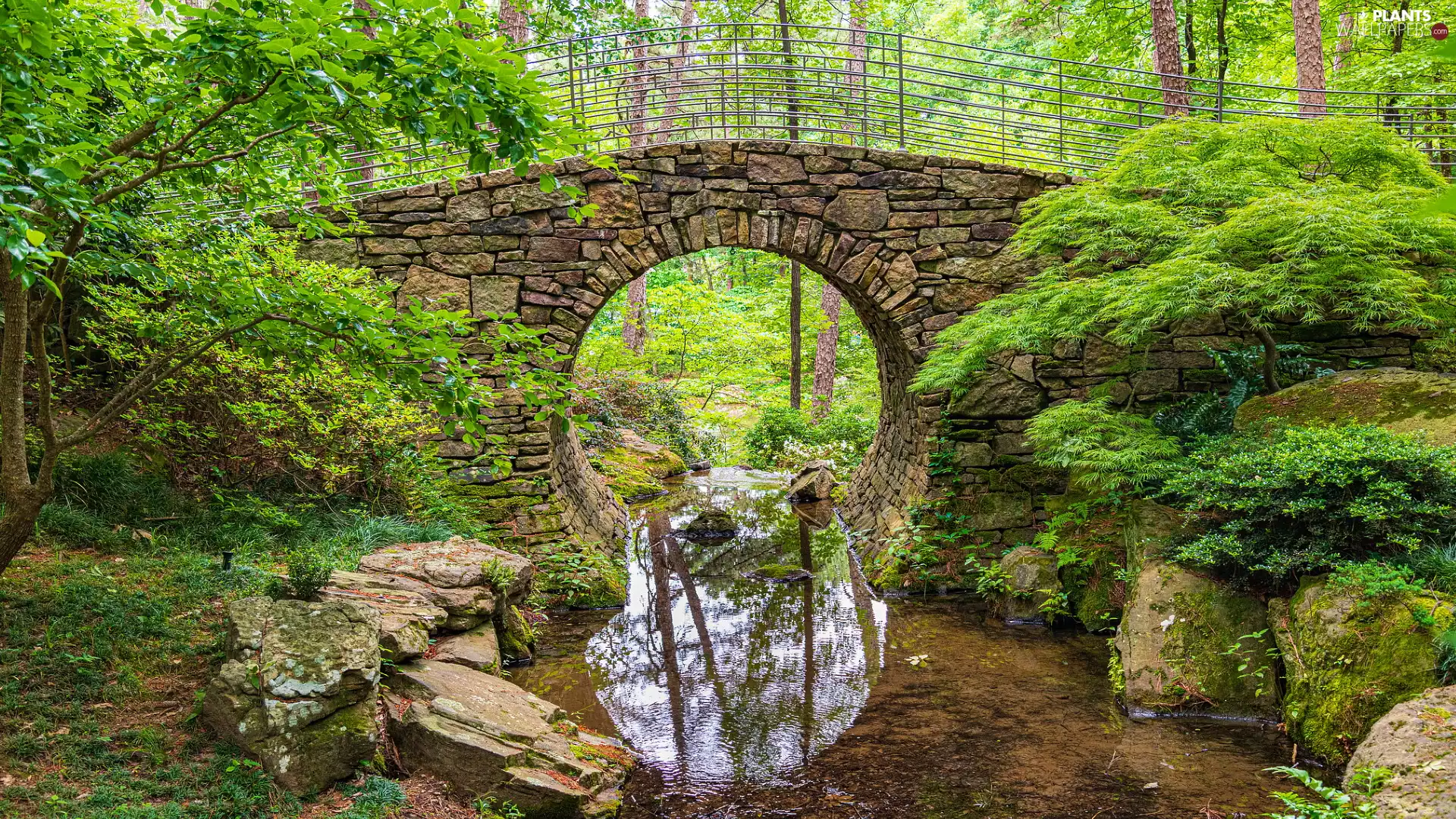 River, Stones, viewes, Rocks, trees, bridge, stone, green ones