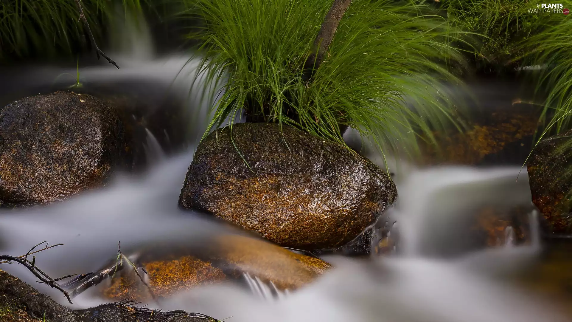 Stones, cluster, grass, River