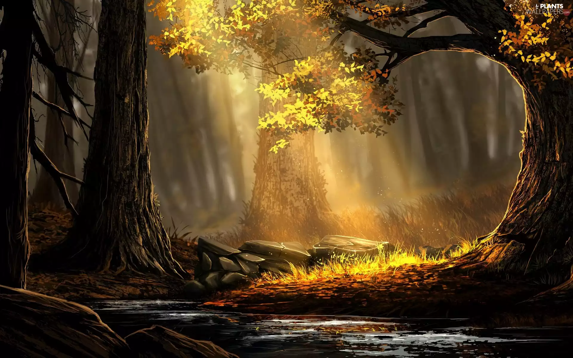 River, trees, light breaking through sky, viewes, forest, Stones, 2D