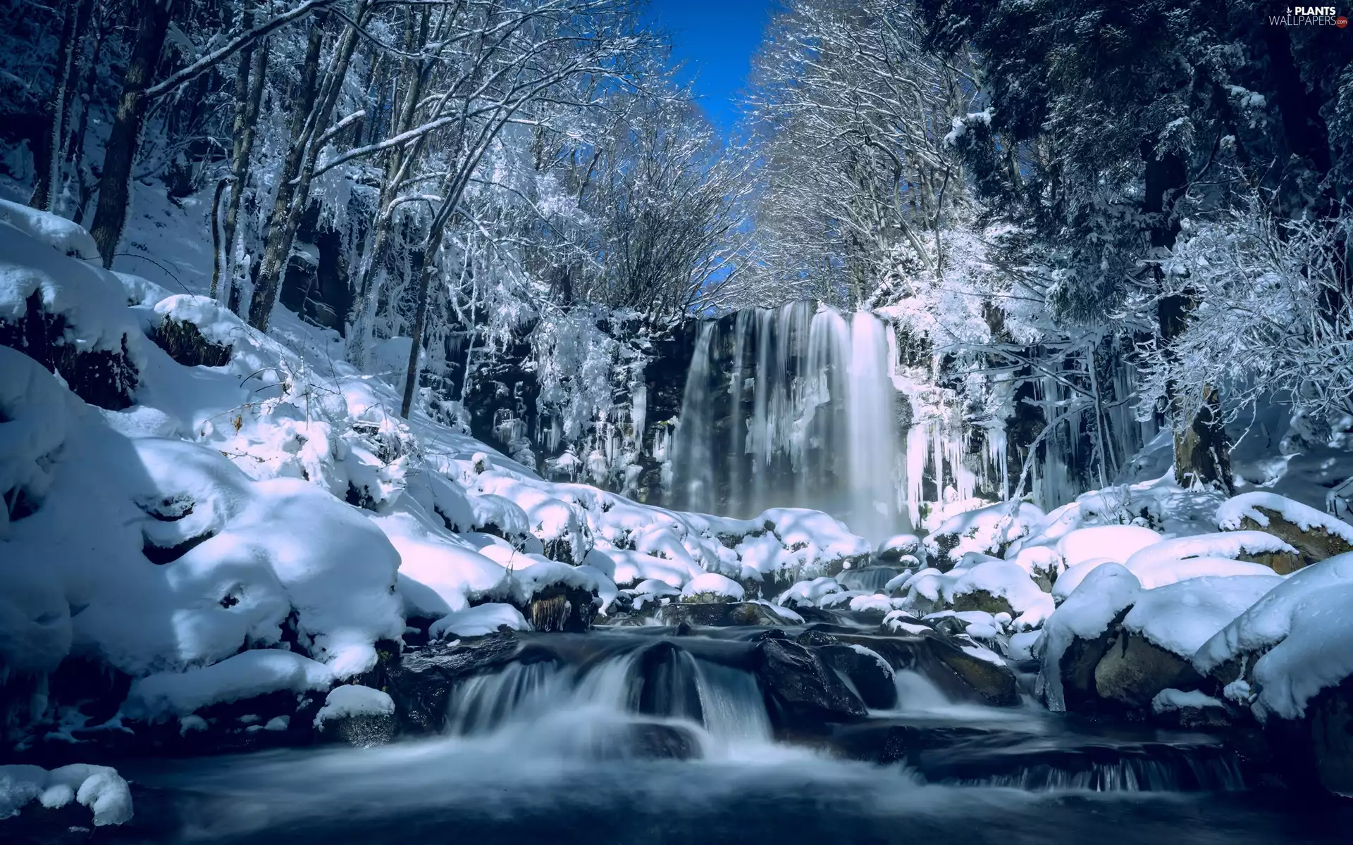 trees, waterfall, snow, River, viewes, Stones