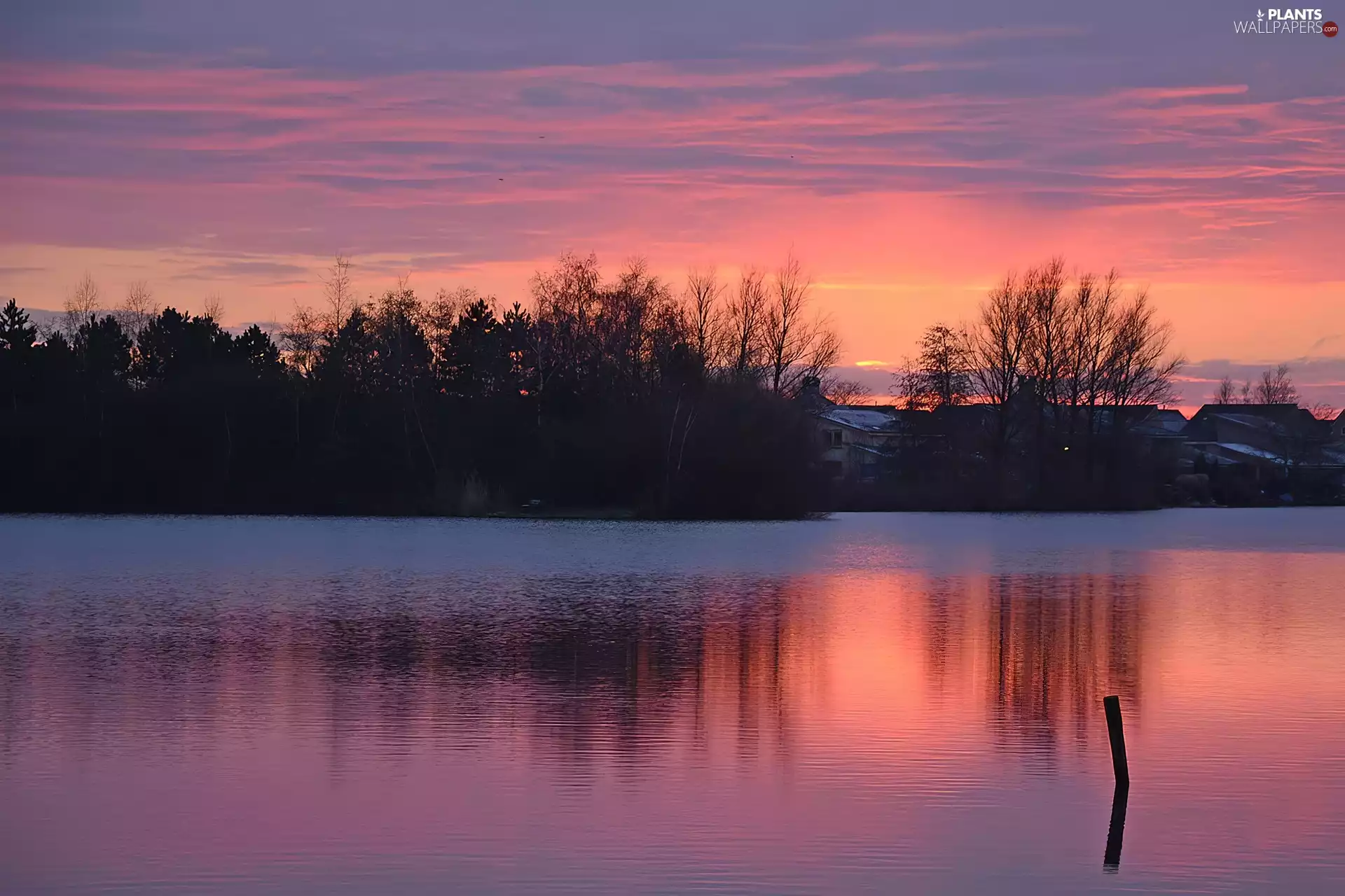 sunset, trees, viewes, River