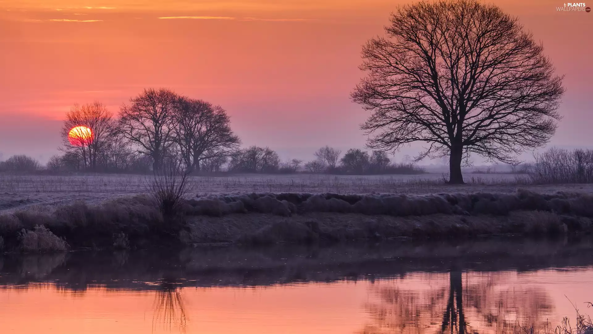 reflection, Great Sunsets, viewes, White frost, trees, River