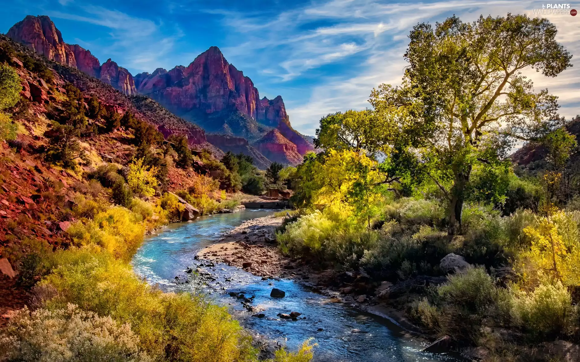 Zion National Park, Watchman Mountains, viewes, Virgin River, trees, Utah State, The United States, Stones