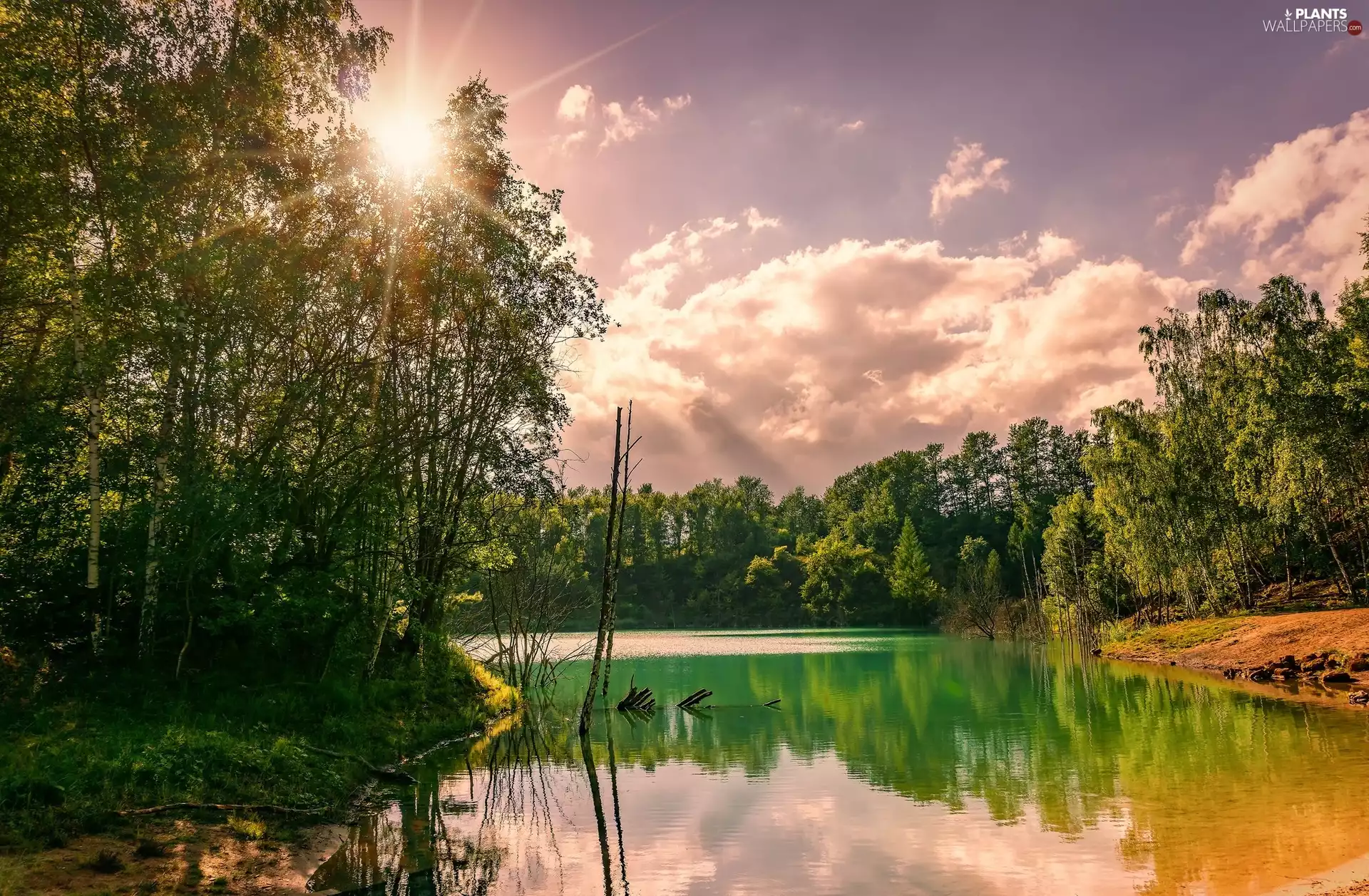 rays of the Sun, clouds, trees, viewes, River