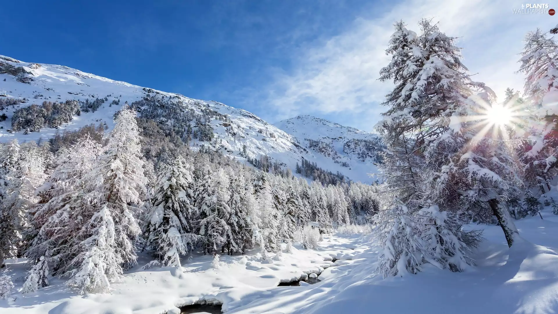 River, winter, trees, viewes, rays of the Sun, Mountains