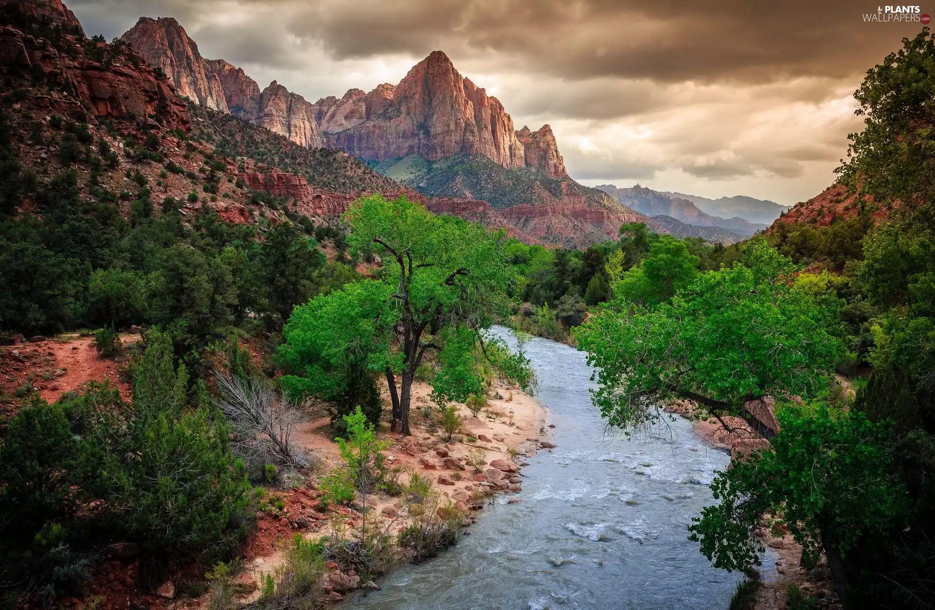 Zion National Park, Mountain Watchman, Mountains, Virgin River, viewes, Utah State, The United States, trees