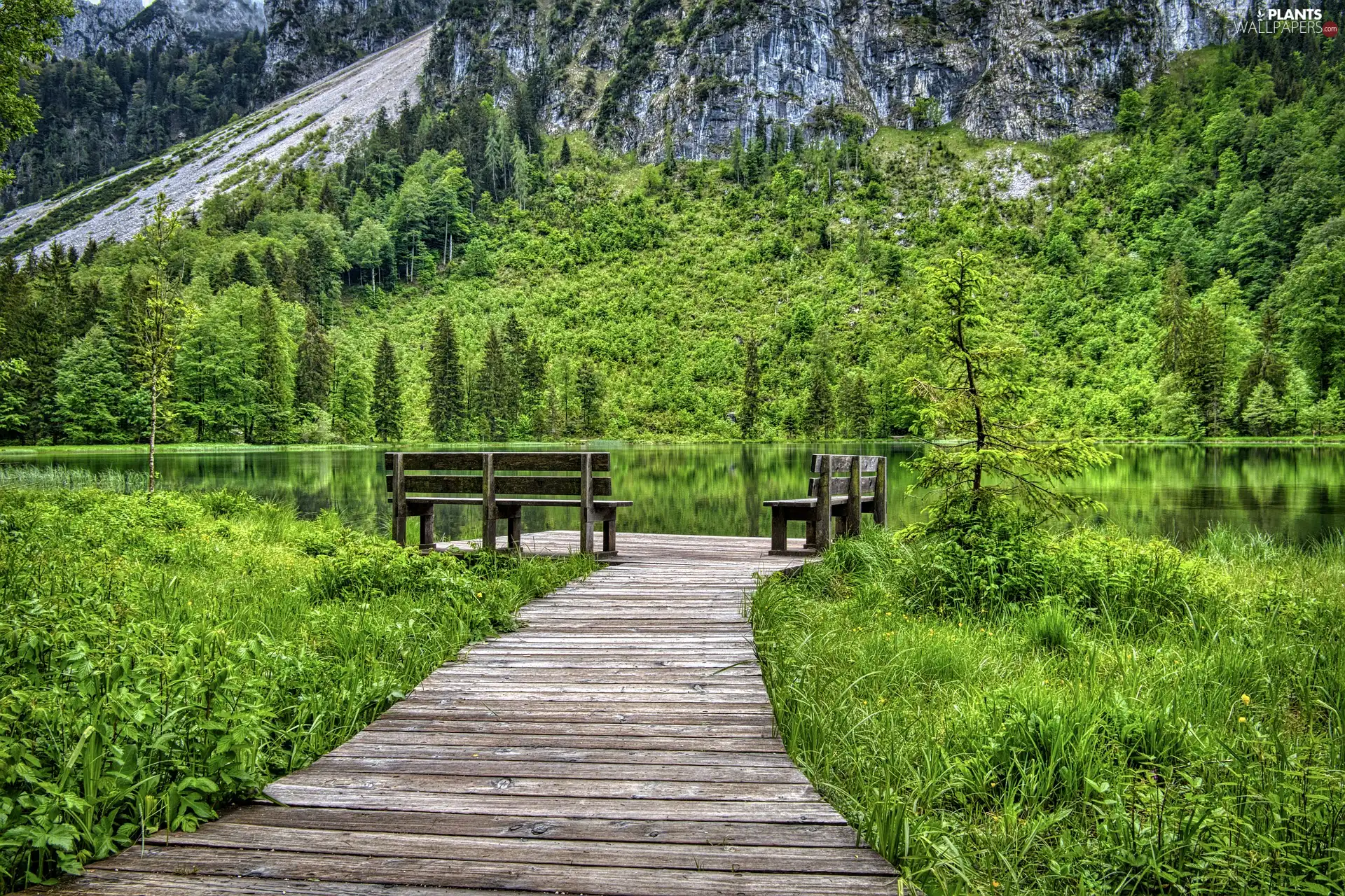 rocks, bench, trees, River, Platform, woods, viewes