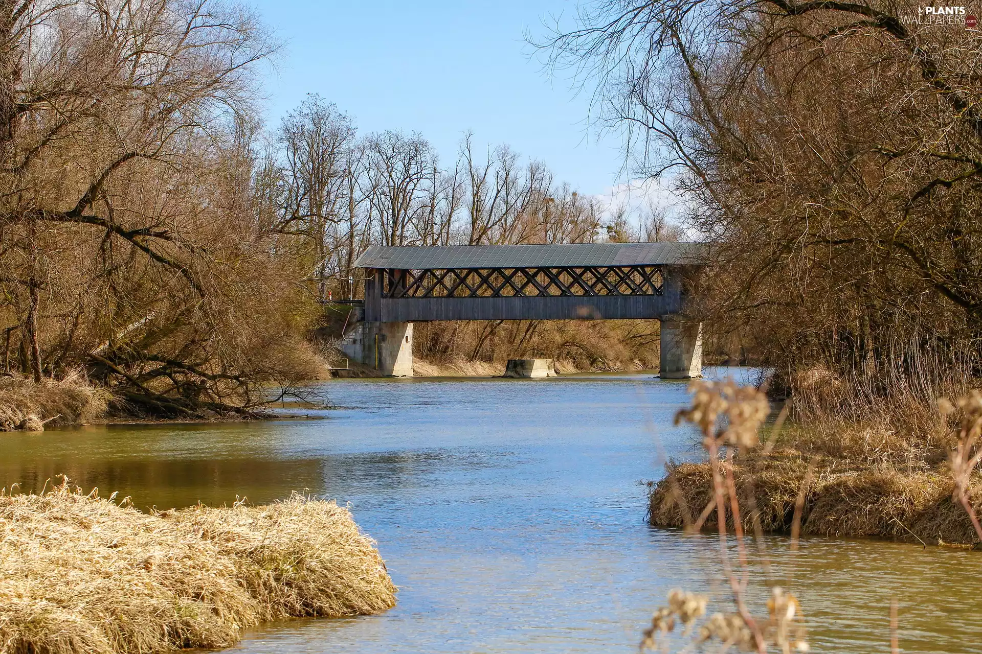 viewes, autumn, bridge, River, Indoor, trees