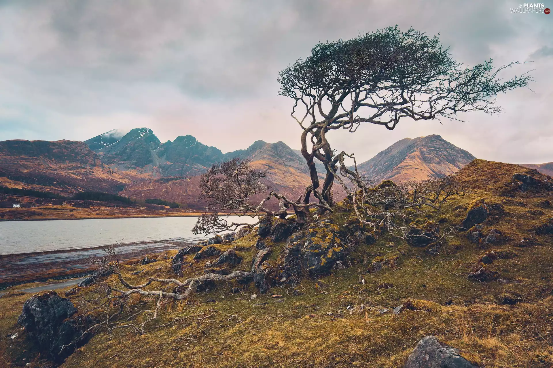 Stones, Mountains, clouds, River, rocks, trees