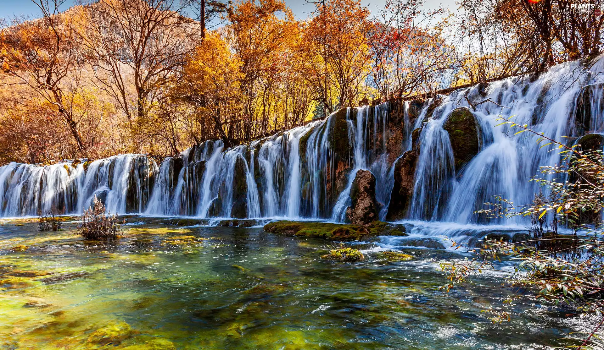 viewes, autumn, rocks, River, waterfall, trees