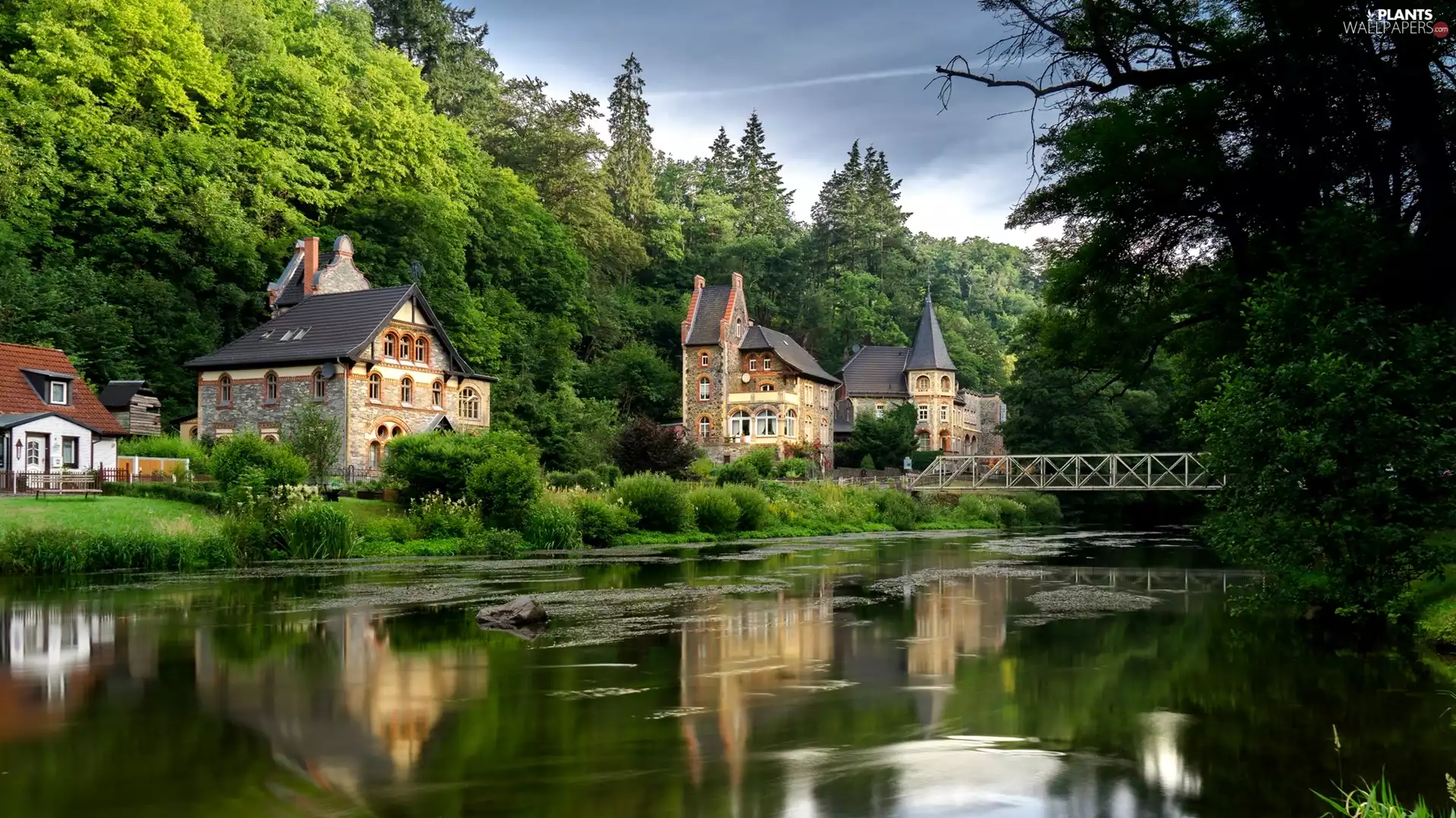 Houses, Saxony, trees, River, Germany, bridge, viewes