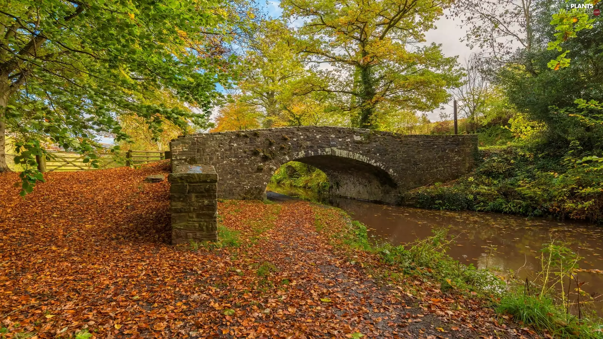 canal, bridge, viewes, River, stone, trees, autumn