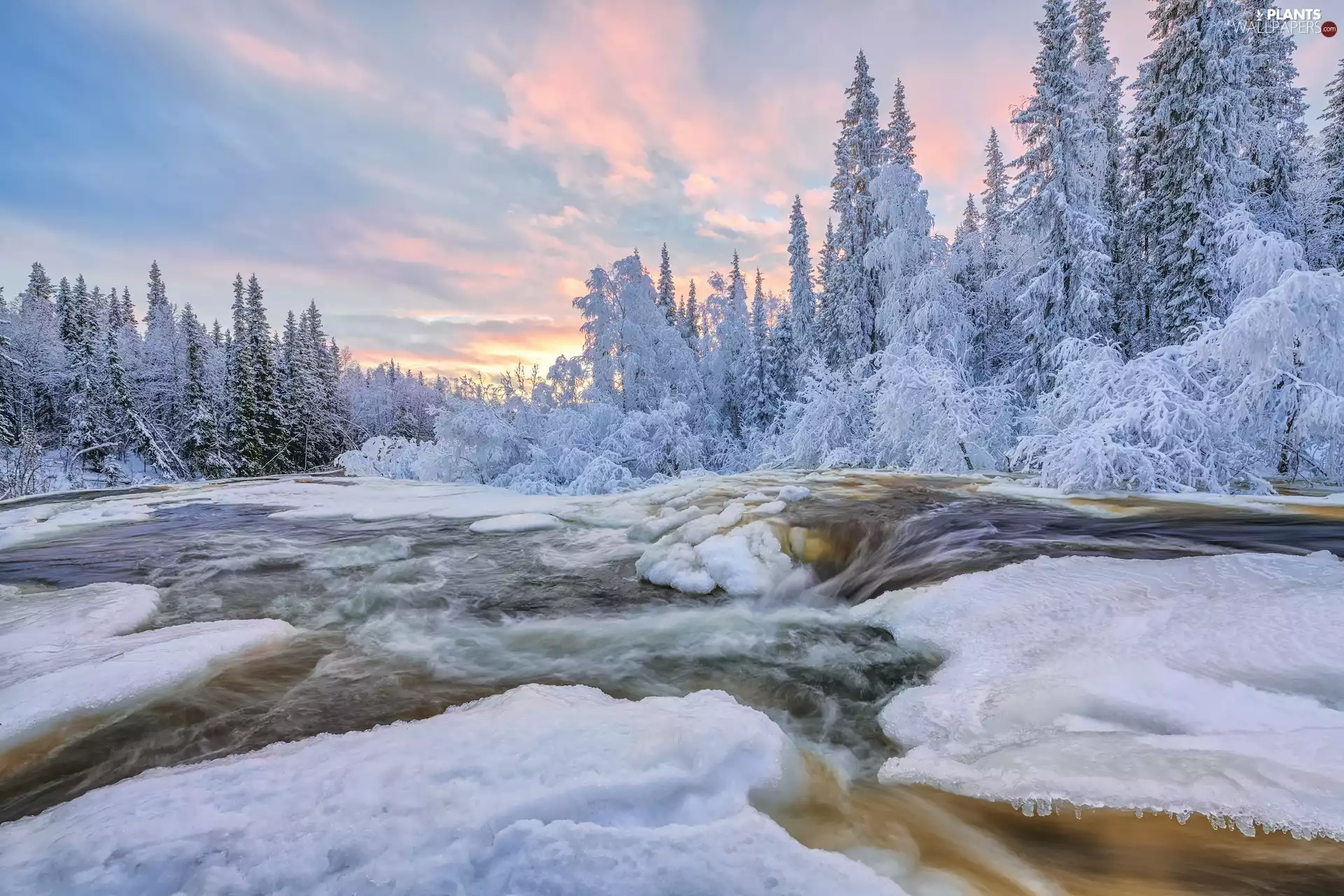 Snowy, Icy, viewes, River, winter, trees, Bush