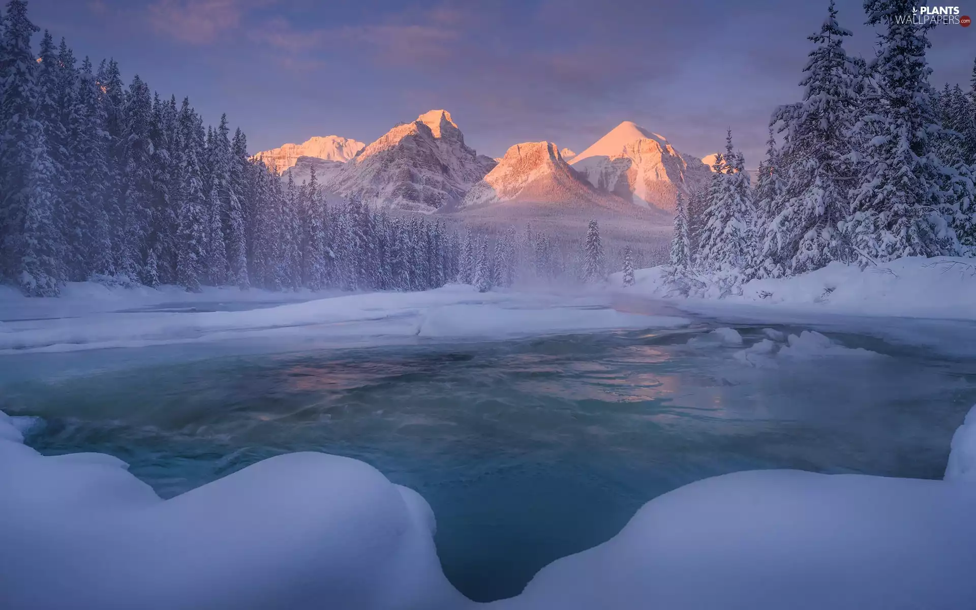forest, Mountains, viewes, River, winter, trees, Fog