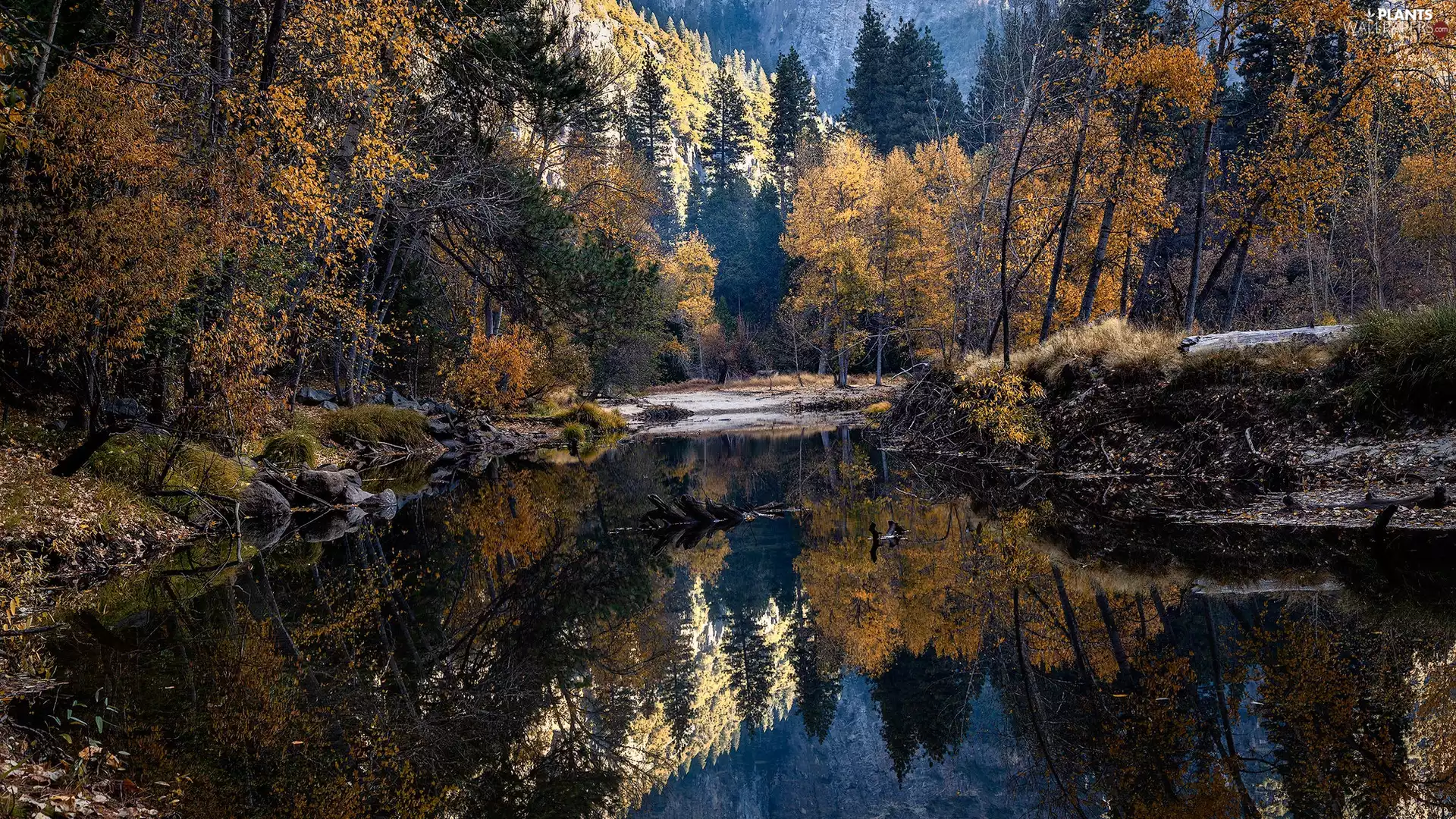 forest, Mountains, viewes, River, autumn, trees, reflection