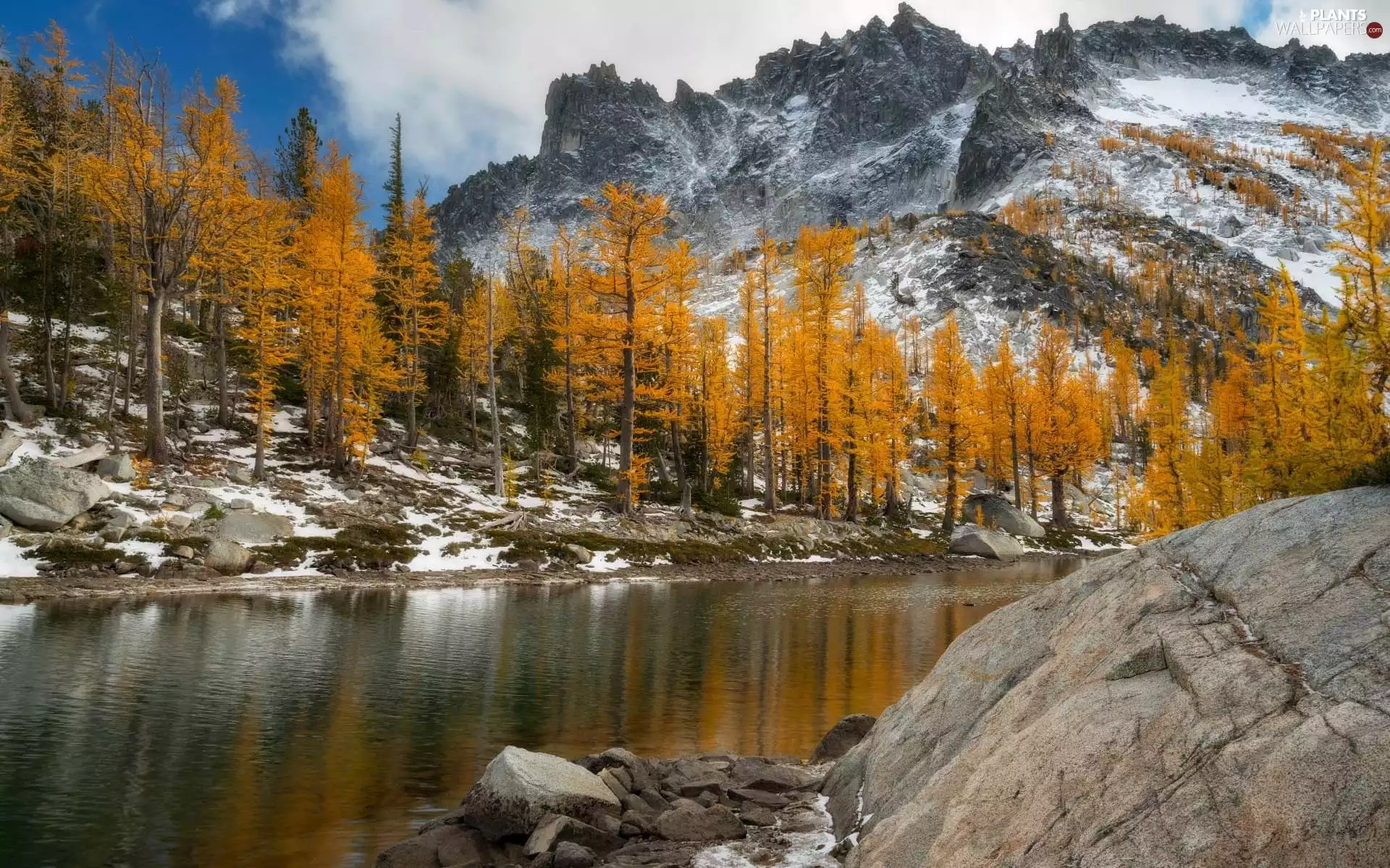 Yellowed, Mountains, viewes, River, autumn, trees, rocks