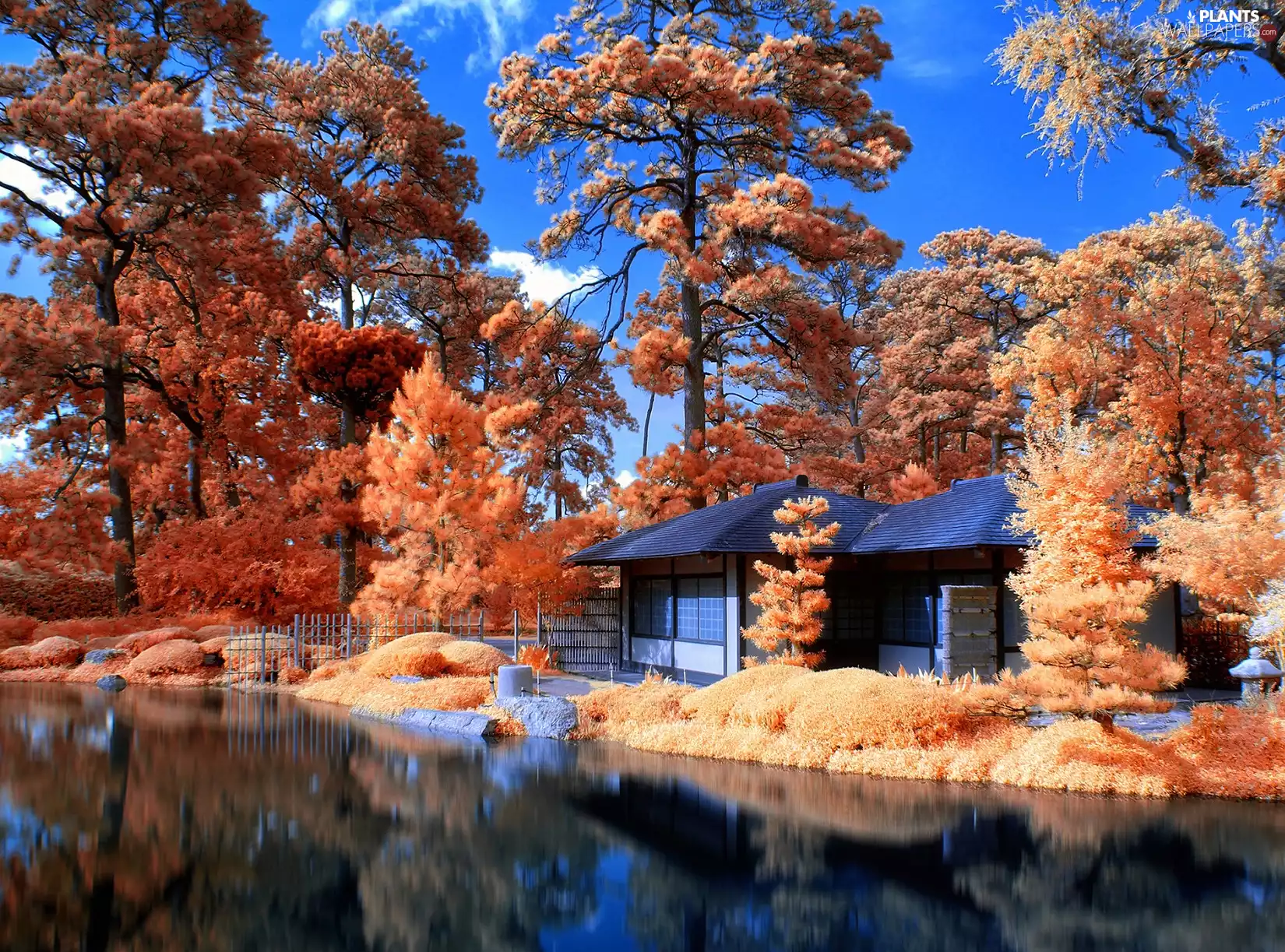 Discoloration, trees, Sky, River, Houses, viewes