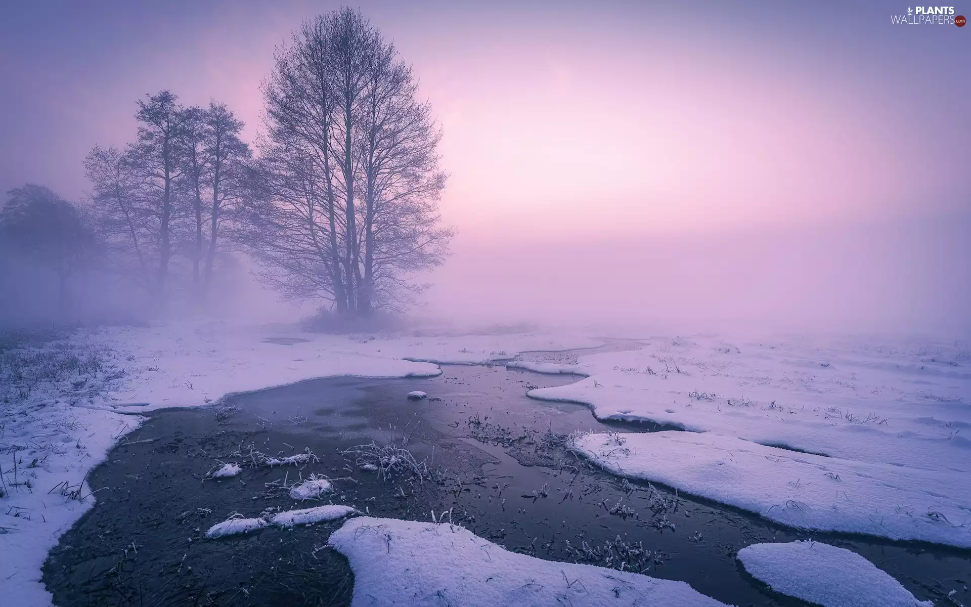 Icy, snow, viewes, River, winter, trees, Fog