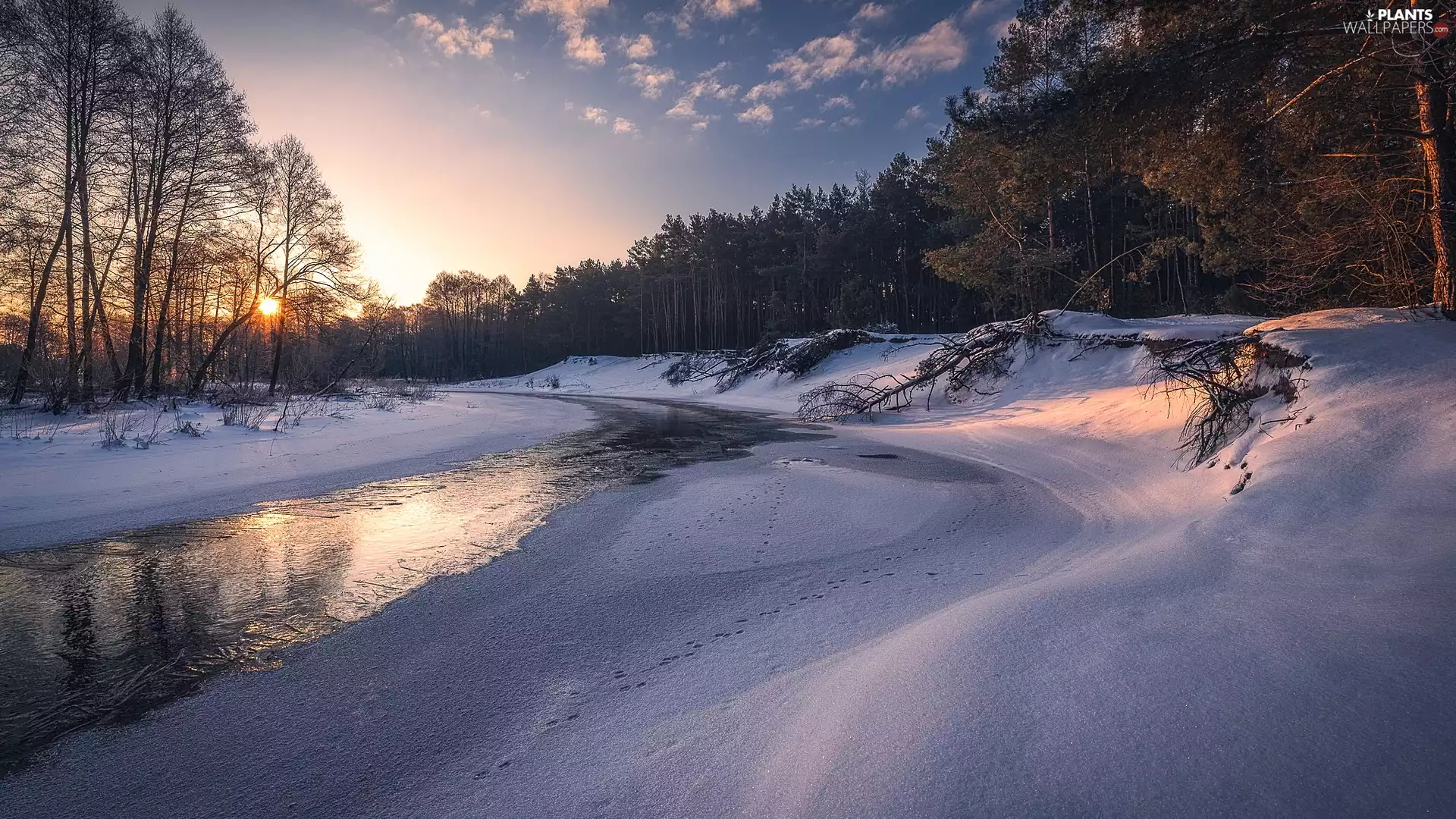 snow, snowy, viewes, River, winter, trees, Sunrise