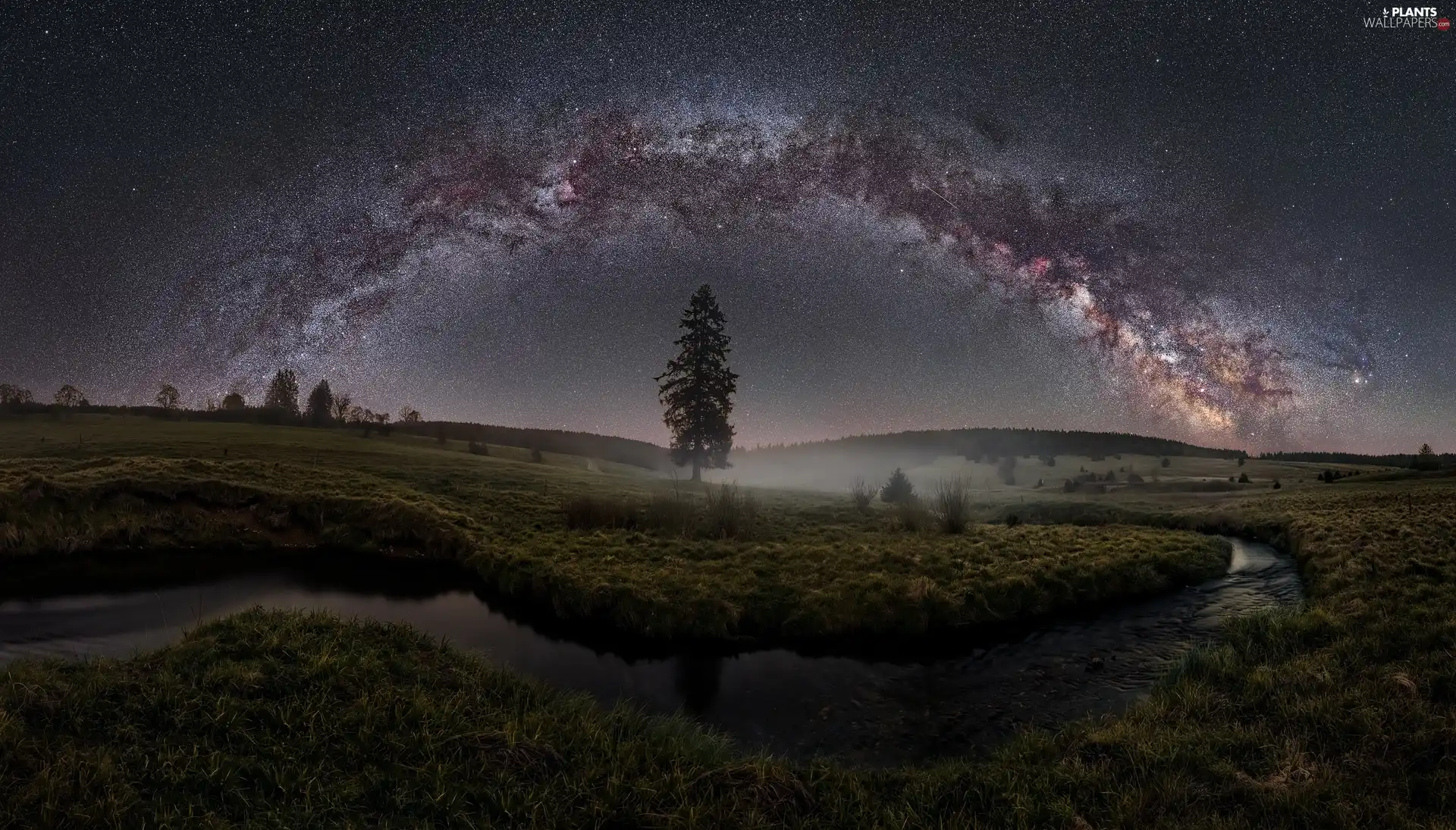 Fog, star, viewes, Night, Star way, trees, River