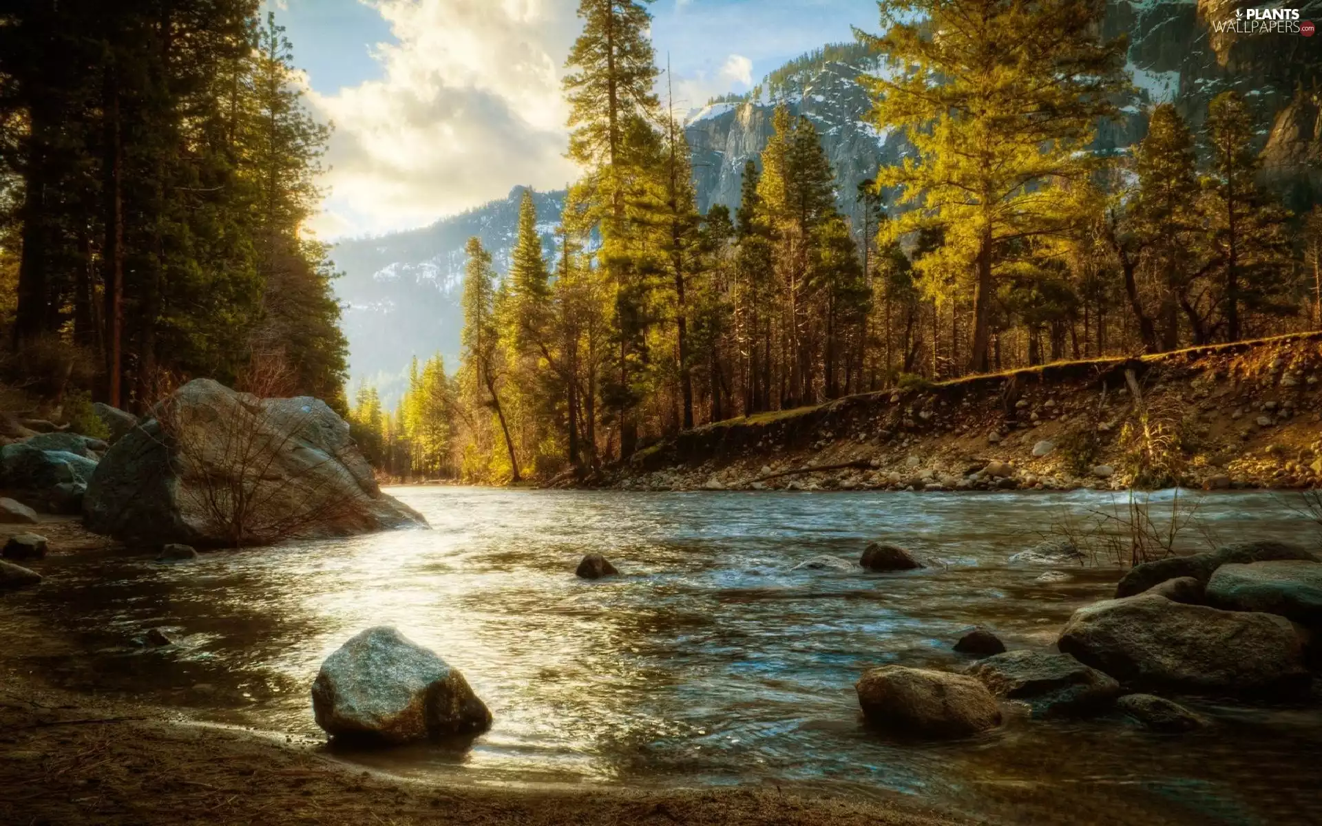 River, trees, viewes