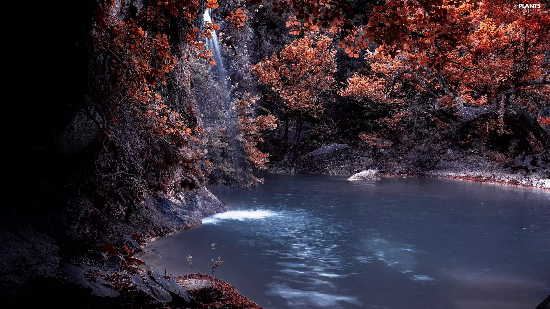 autumn, trees, waterfall, River, Rocks, viewes