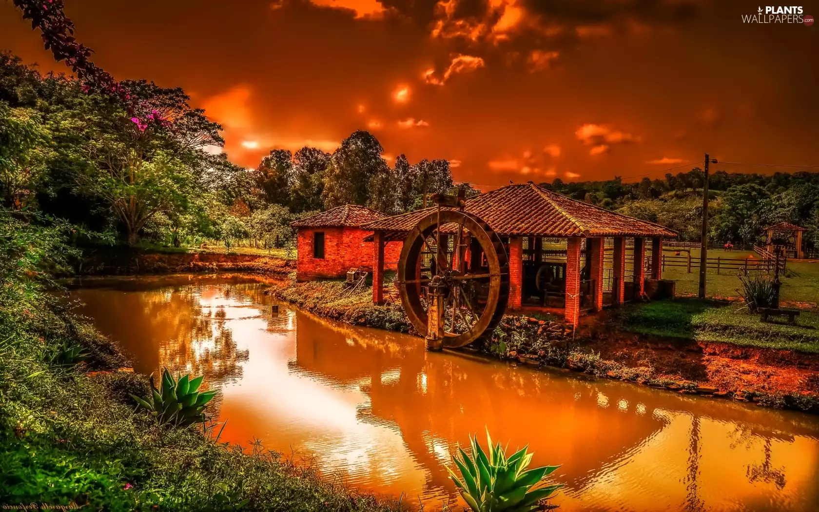 Windmill, trees, viewes, River