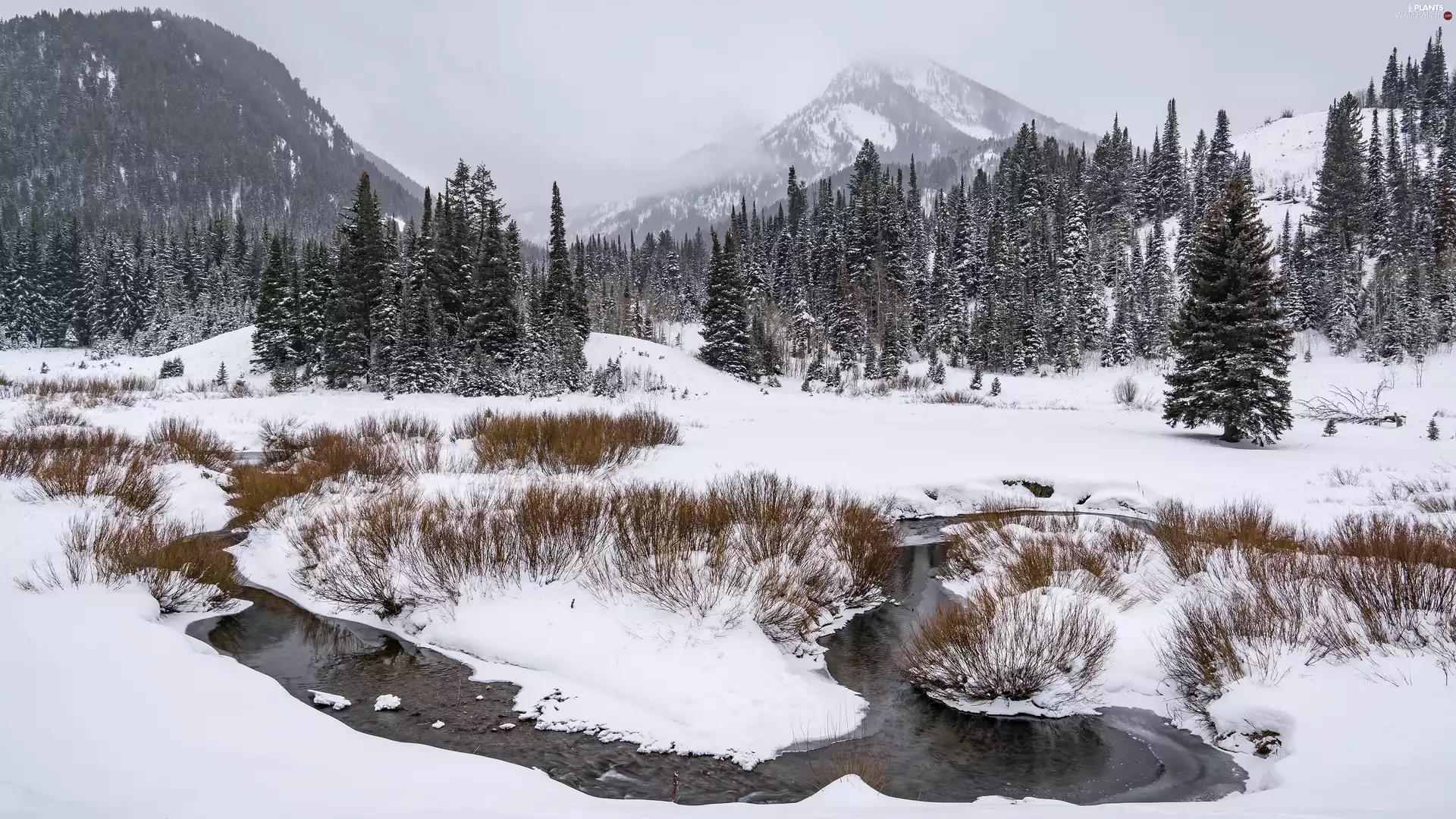 trees, viewes, winter, grass, clouds, snow, Mountains, River